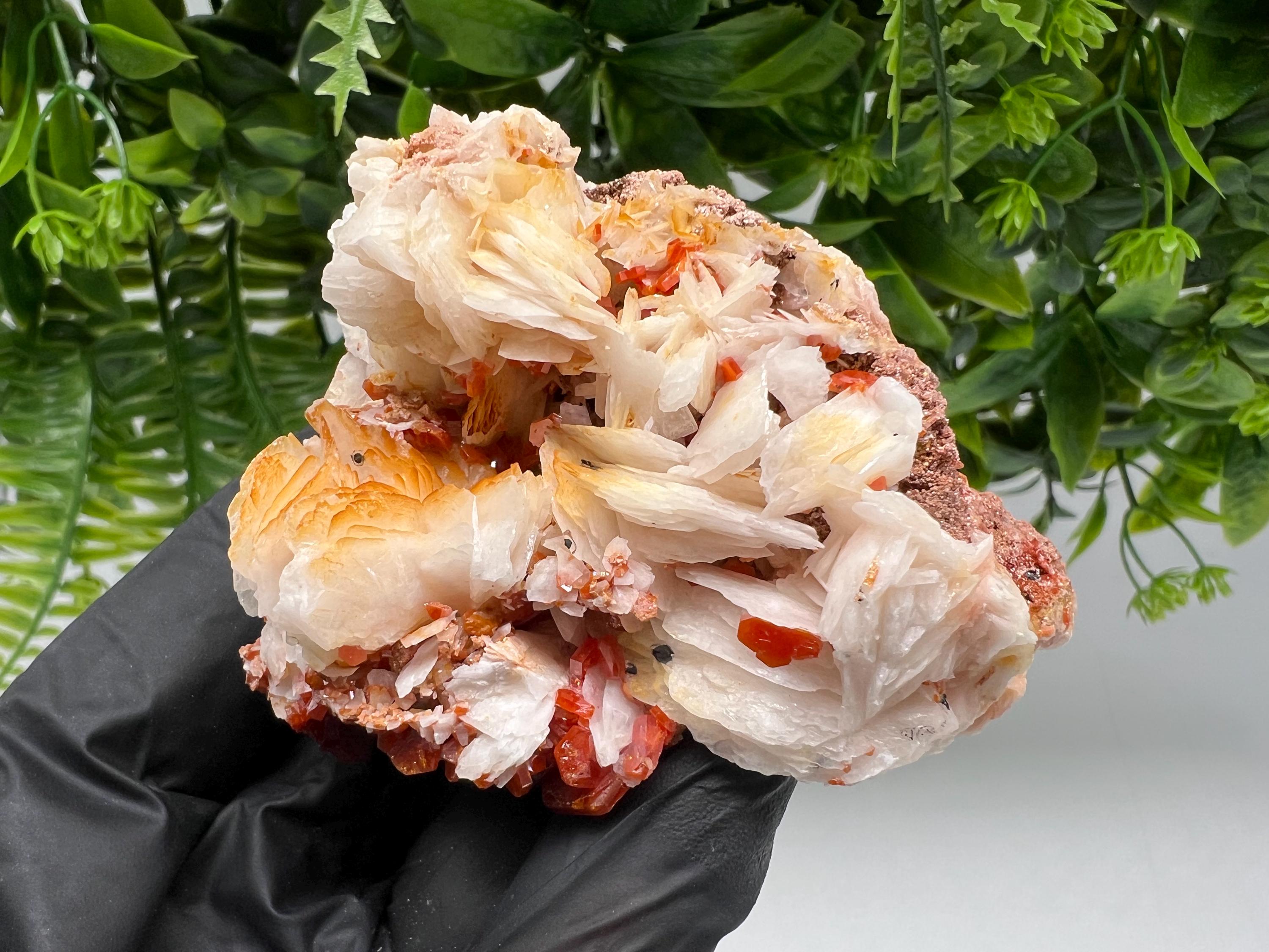 Red Vanadinite on Barite from Marocco,crystal minerals Speciment cluster Vanadinite crystal Vanadinite Geology Vanadinite cluster minerals