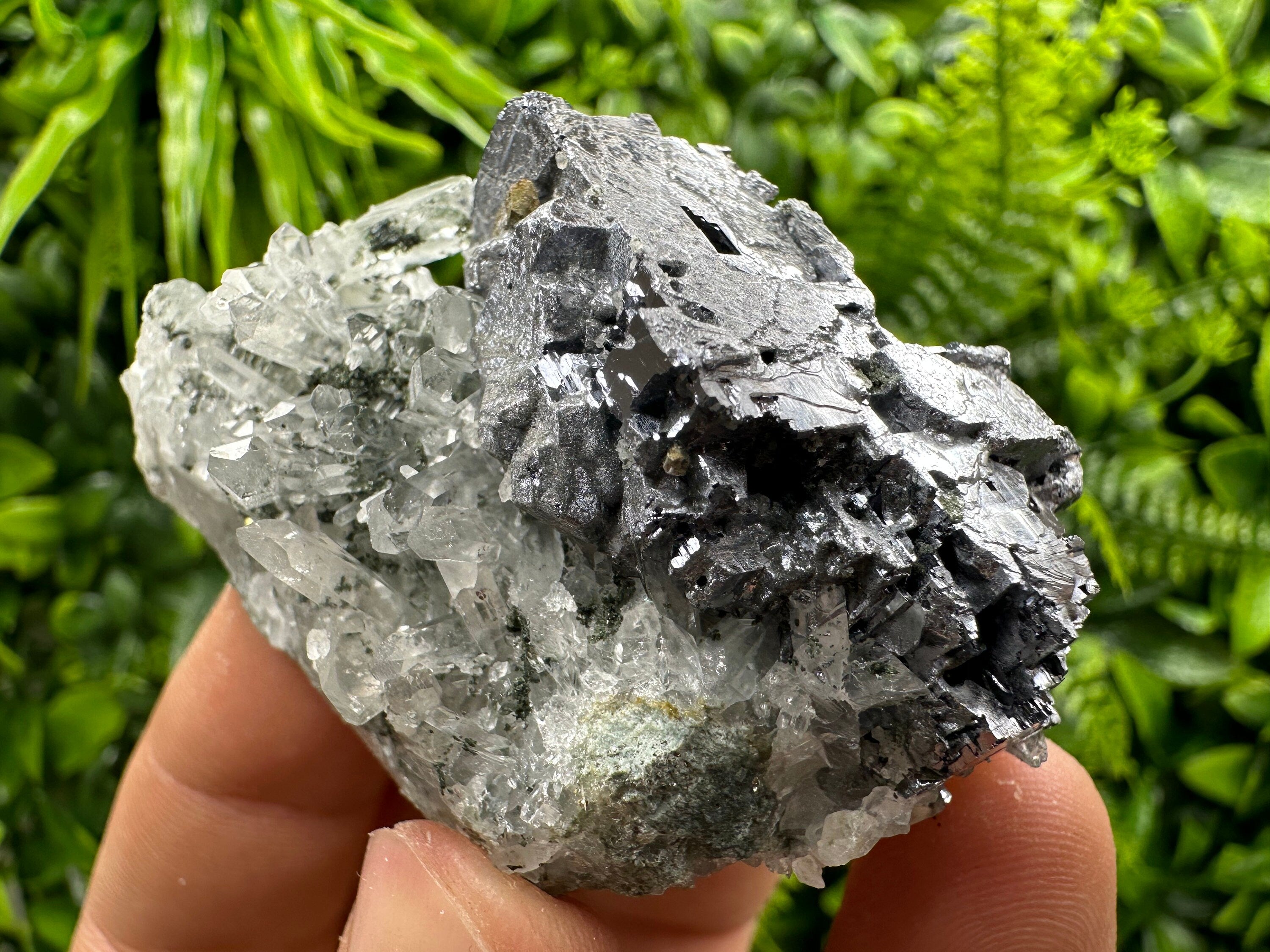 Quartz and Galena Mineral Specimen: Borieva Mine, Bulgaria