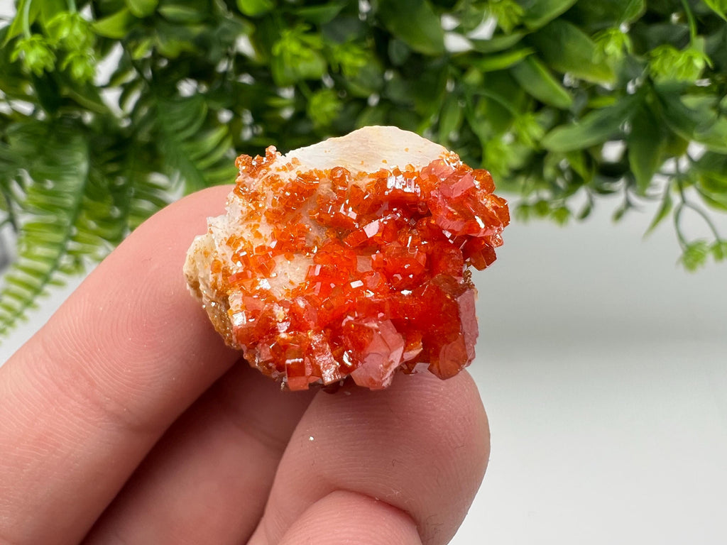 Red Vanadinite on Barite from Marocco,crystal minerals Speciment cluster Vanadinite crystal Vanadinite Geology Vanadinite cluster minerals