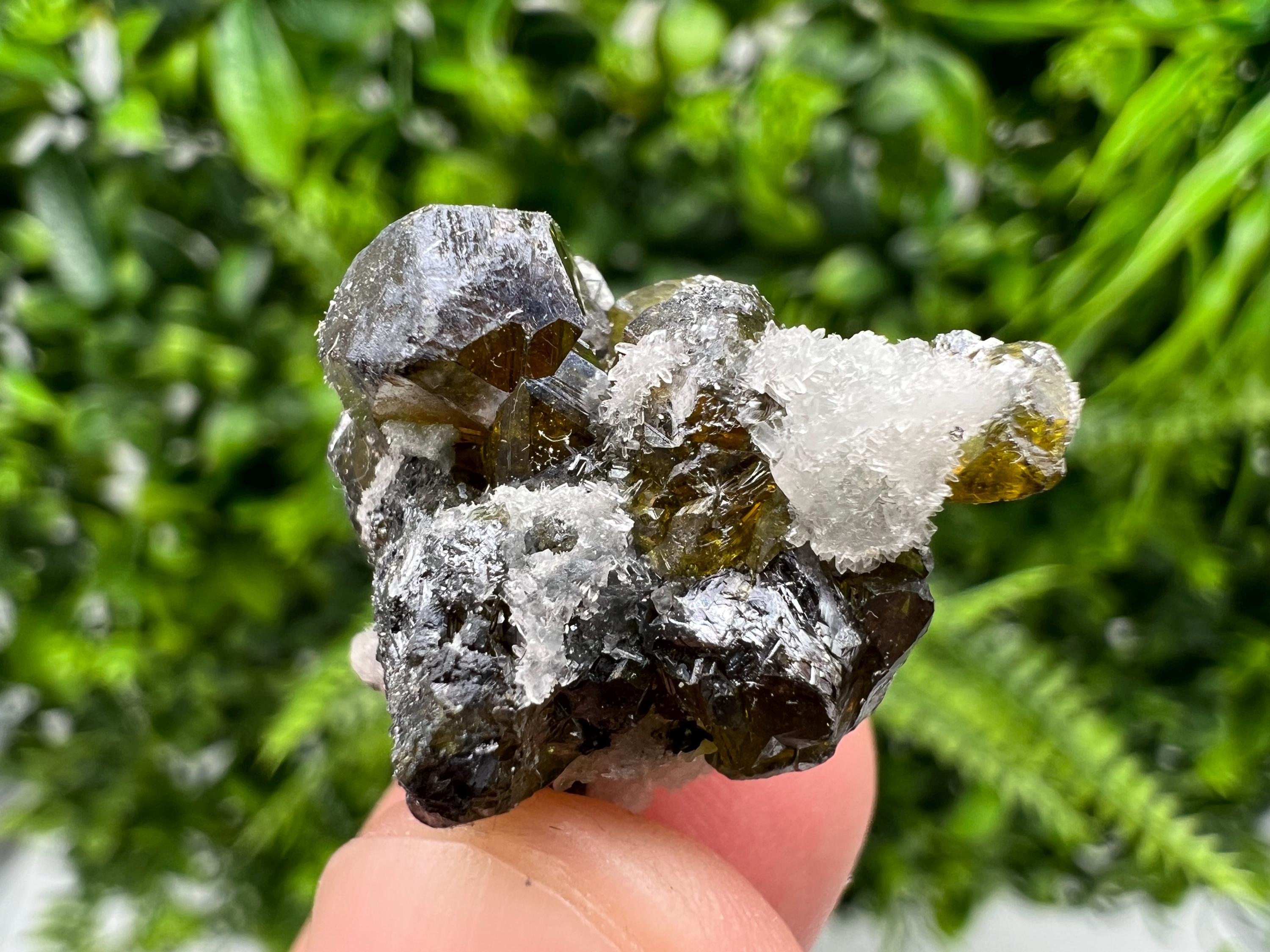 Cleiophane Sphalerite Gem: Rare Transparent Crystal, Bulgaria