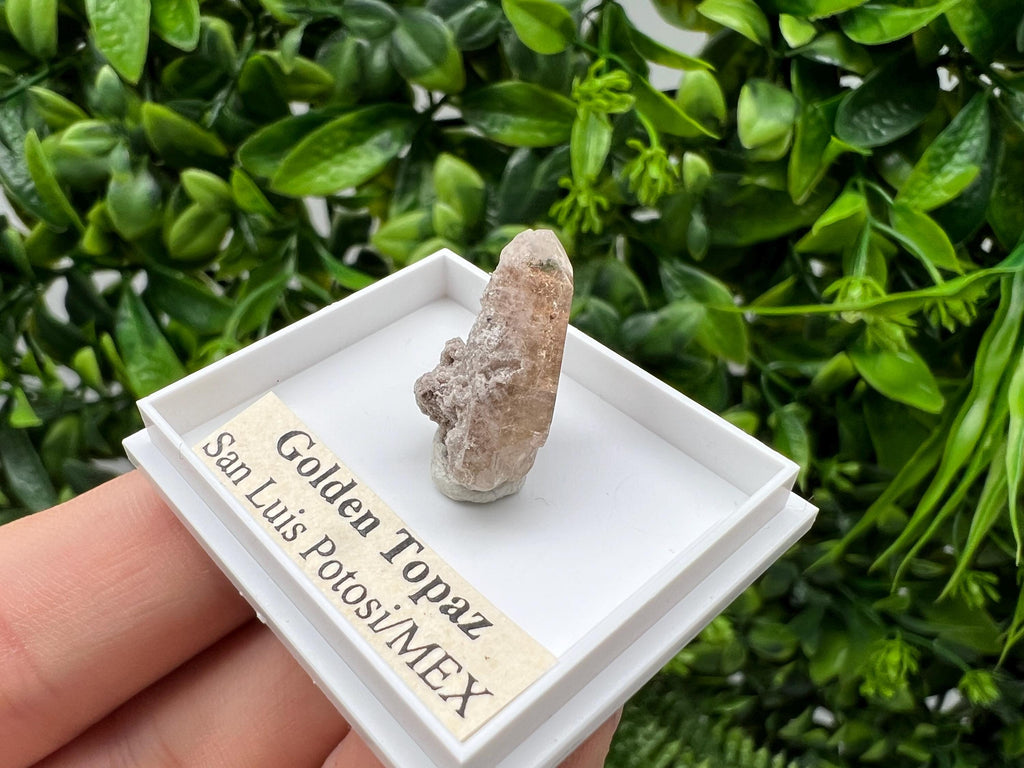 Beautiful Golden Topaz from Mexico,collection piece Crystal,Mineral,collectibles,Collectors, Natural Crystal, Minerals from Mexico,original,