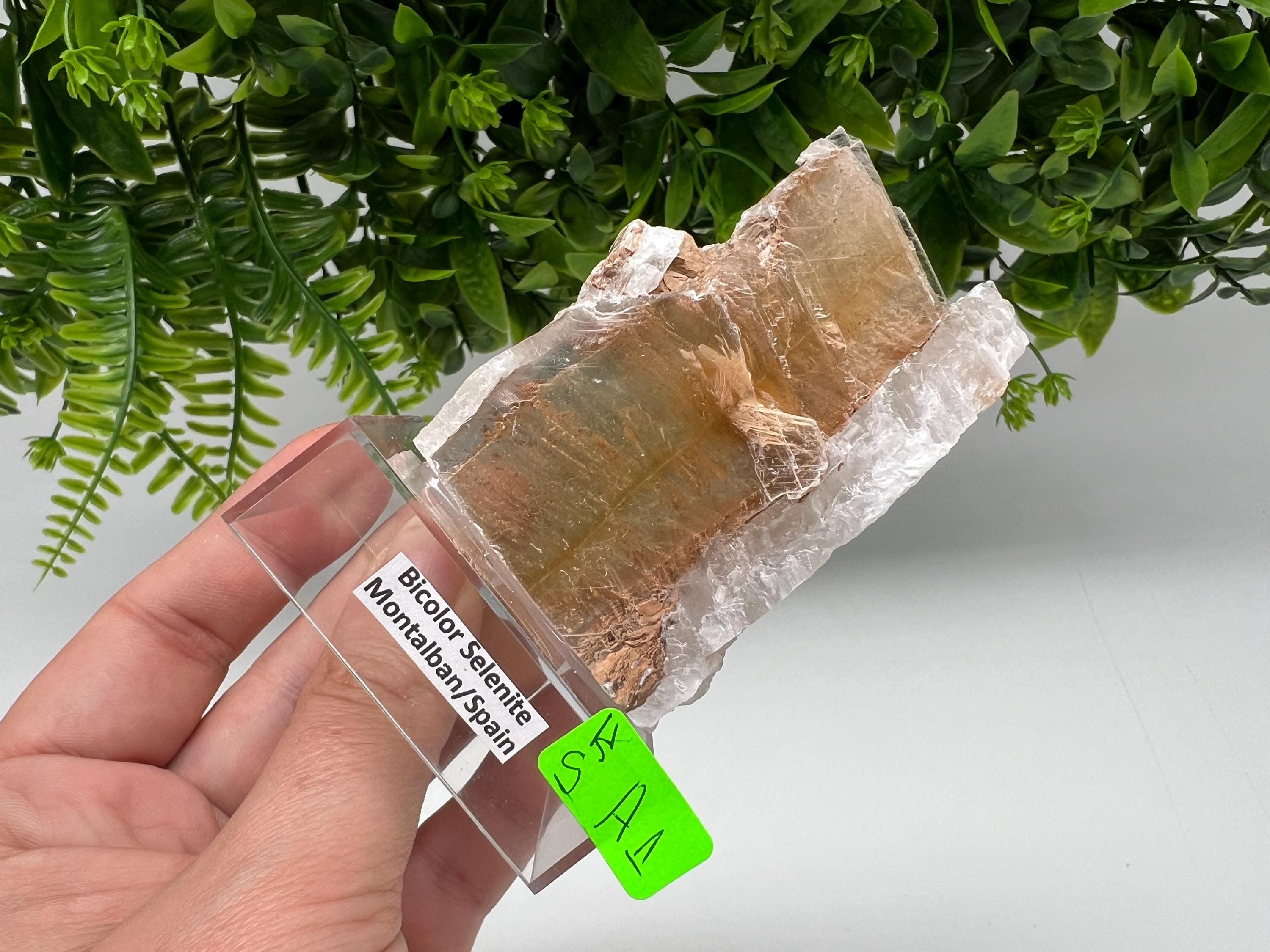 Golden Phantom Selenite Slab: Utah Raw Crystal Wand (5.5/8cm)