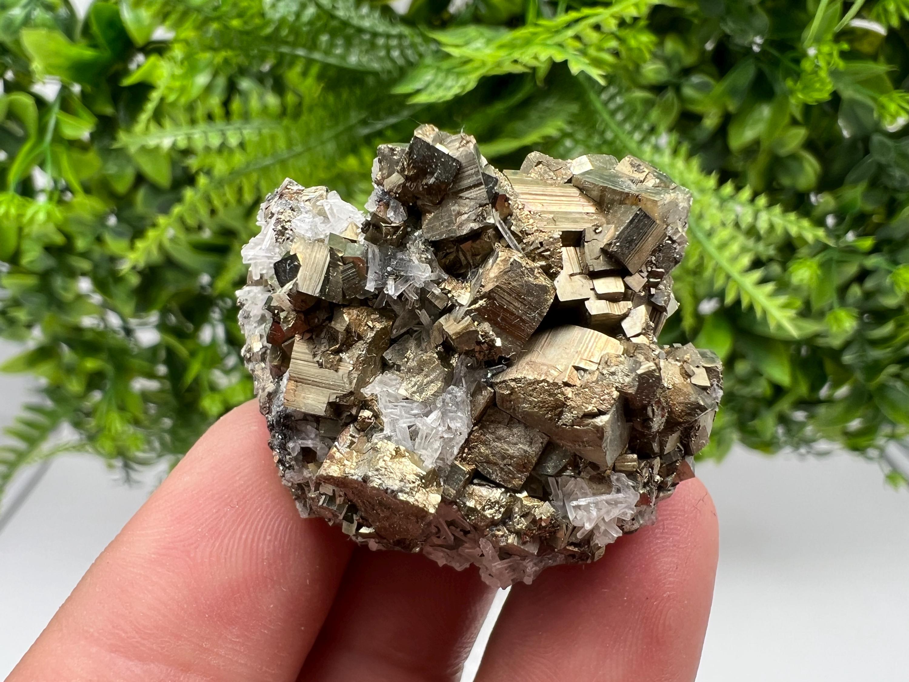 Rainbow Pyrite on Quartz, Natural Crystal Mineral Specimen, Borieva Bulgaria