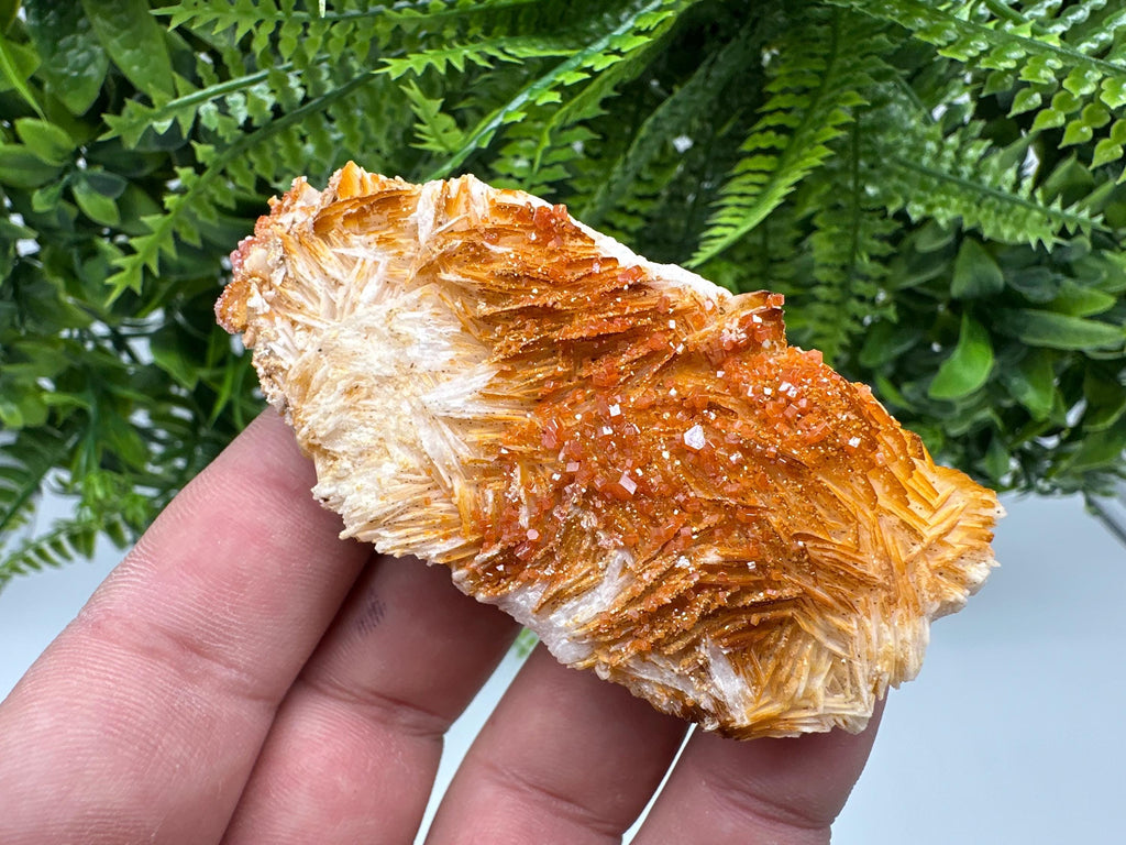 Red Vanadinite on Barite, Morocco Crystal Cluster