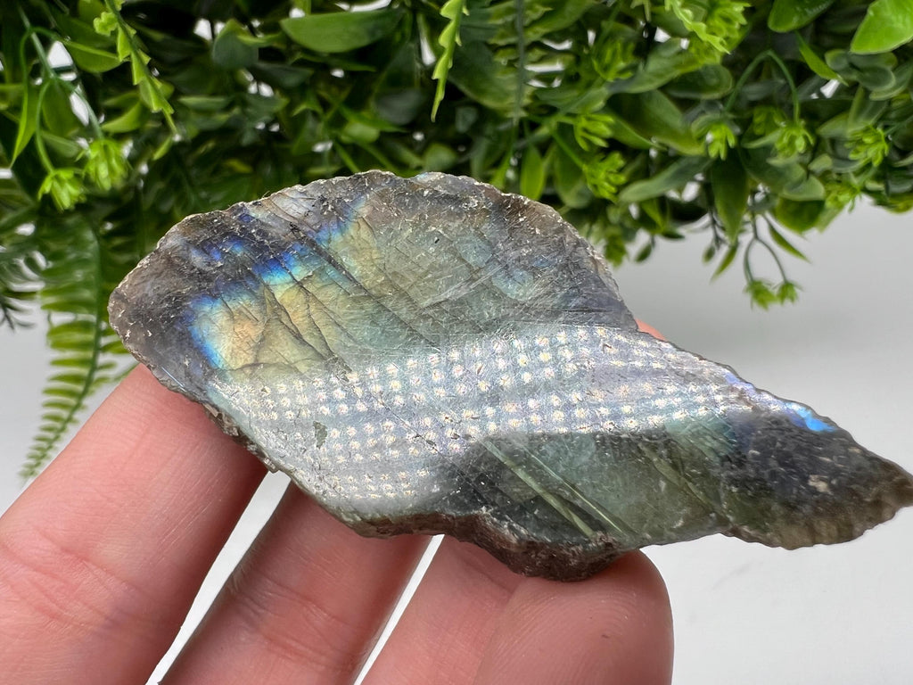 Polished Labradorite Slab: Multifire Crystal Decor - 7x3.5x1.5cm