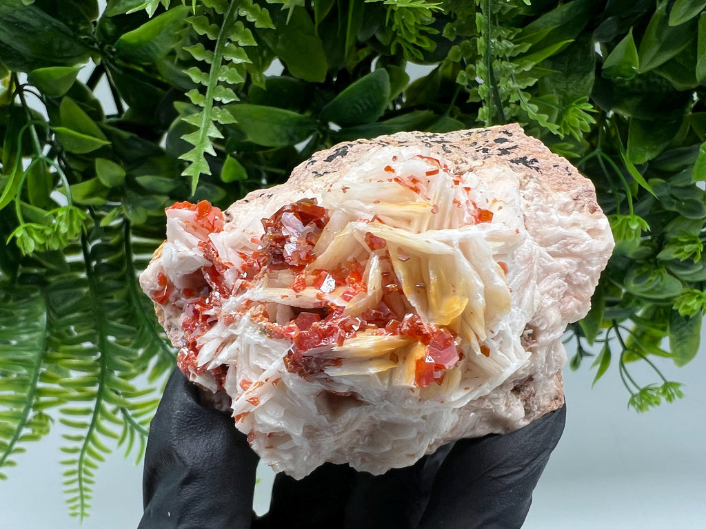 Red Vanadinite on Barite from Marocco,crystal minerals Speciment cluster Vanadinite crystal Vanadinite Geology Vanadinite cluster minerals
