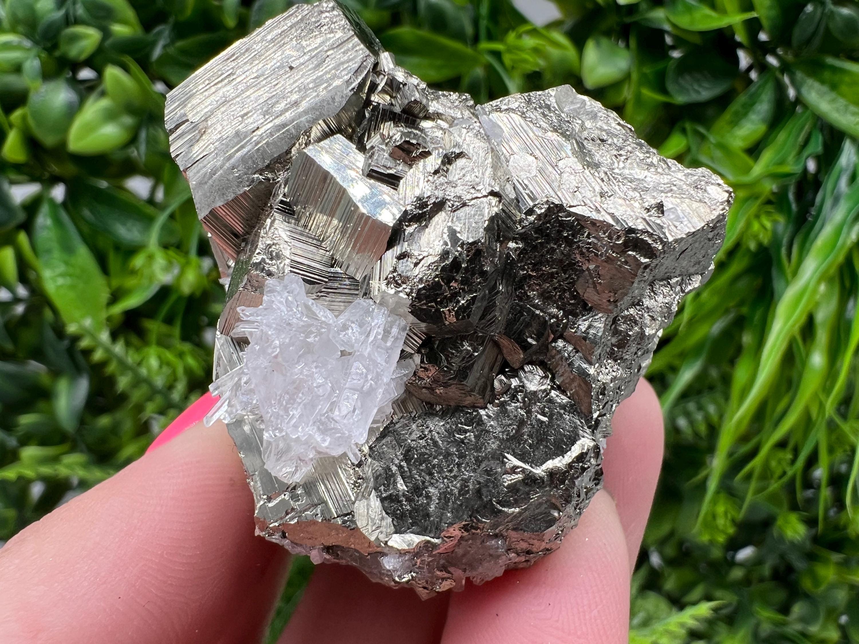 Rare Pyrite Cluster, Natural Crystal Mineral Specimen, Bulgaria