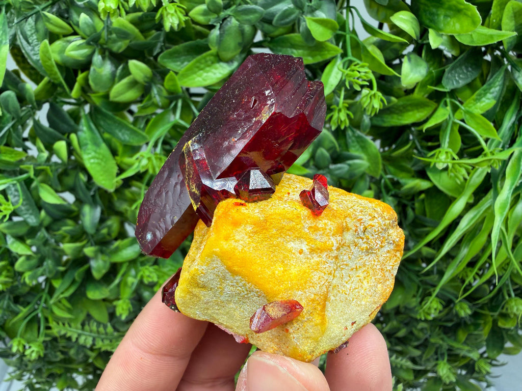 XXL Laboratory Pruskite Ruby Crystal on Matrix