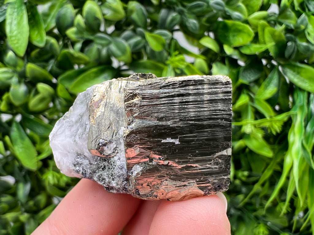 Rare Rainbow Pyrite Cluster: Borieva Mine, Bulgaria