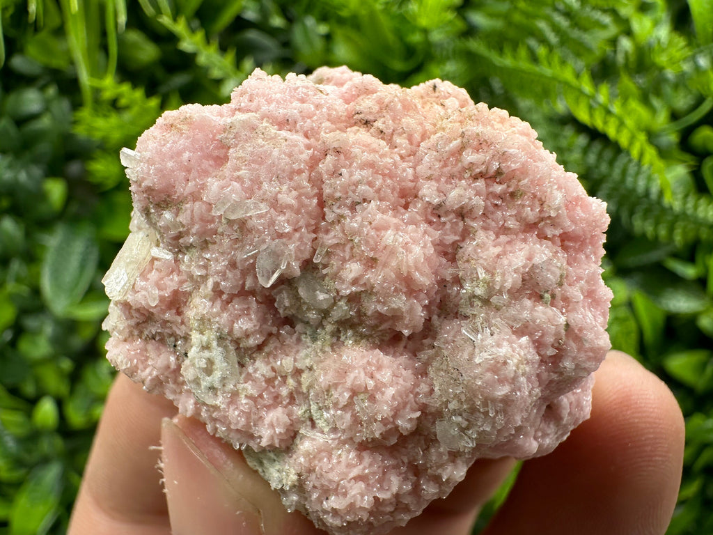 Pink Rhodochrosite Crystal: Starnica Mine, Bulgaria - Home Decor Stone