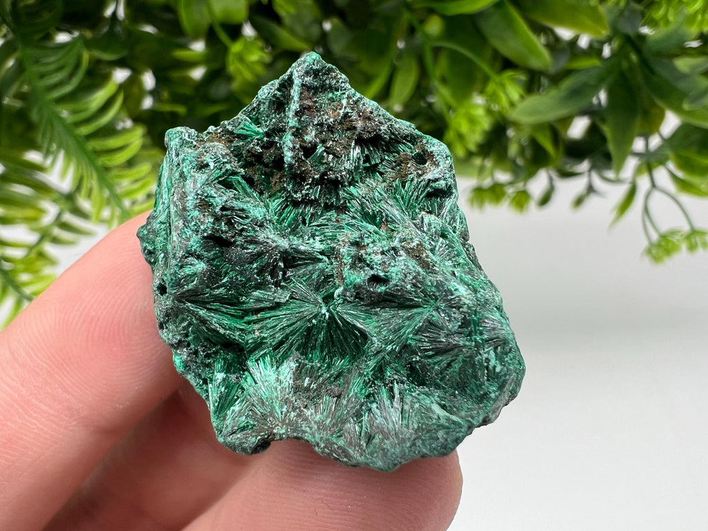 Malachite Crystal from Congo,Minerals,Crystals from Congo,Green Malachite, Malachite,Natural Malachite,Malachite Stone,Chakra, Specimens
