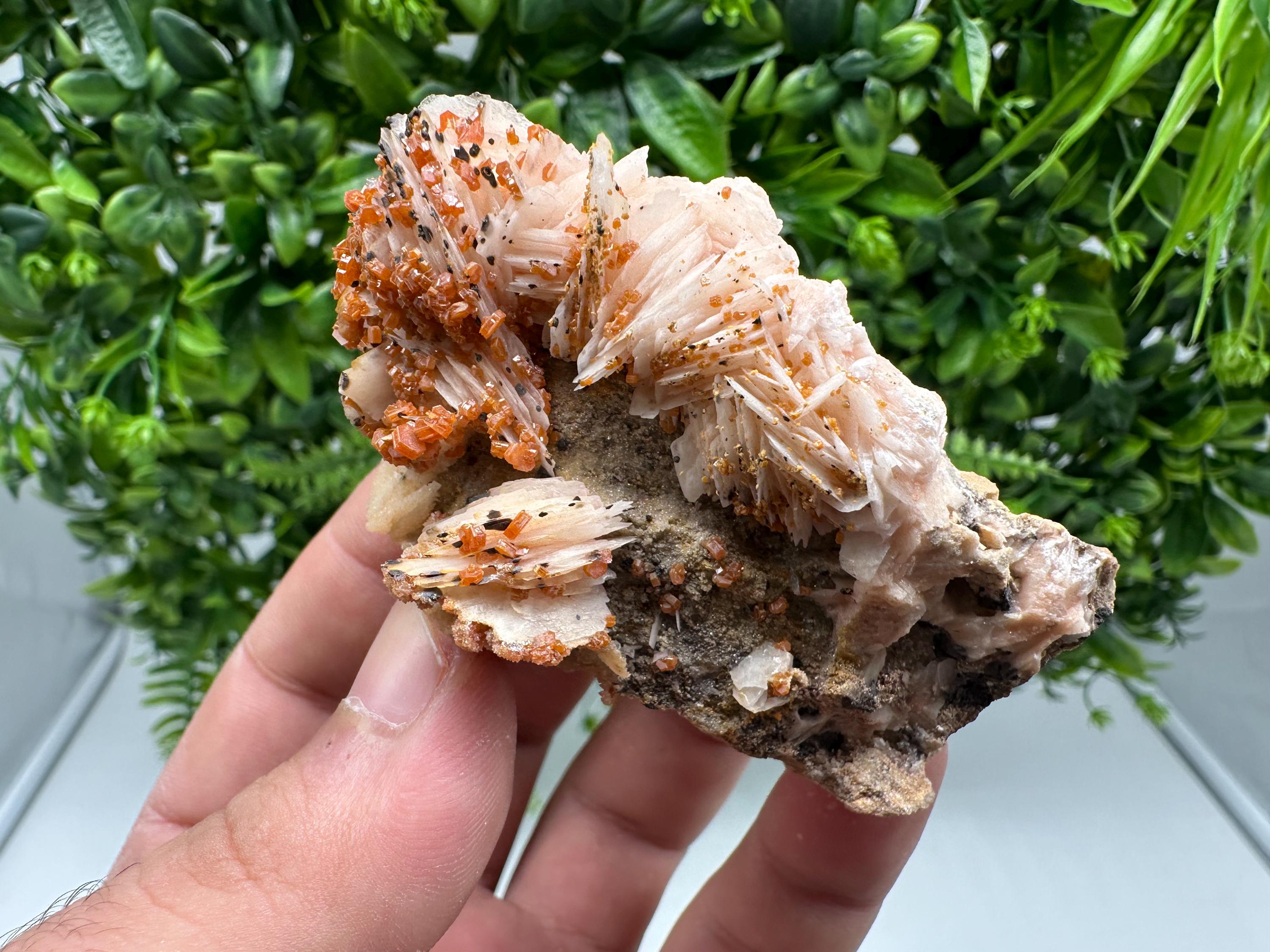 Red Vanadinite on Barite from Marocco,crystal minerals Speciment cluster Vanadinite crystal Vanadinite Geology Vanadinite cluster minerals