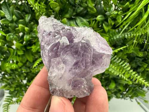 Brazilian Amethyst Crystal Cluster, Purple Quartz Specimen