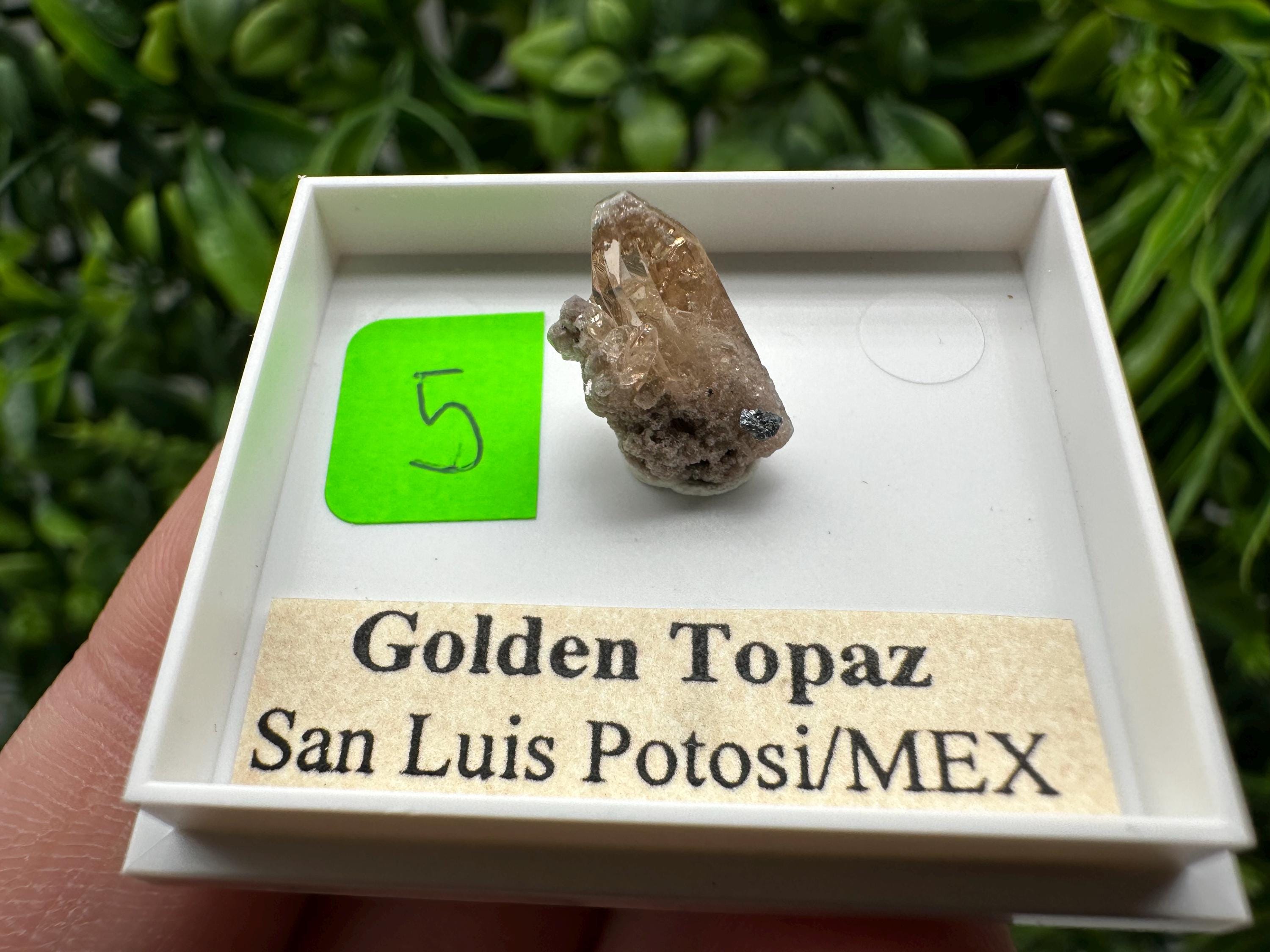 Golden Topaz Crystal, Mineral Specimen from Mexico