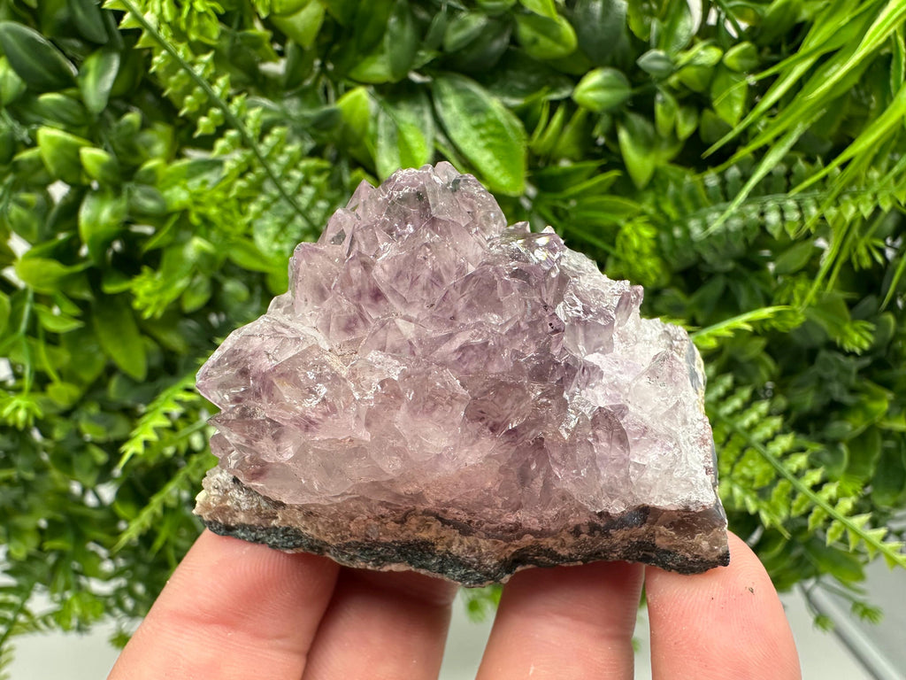 Brazilian Amethyst Crystal Cluster Specimen, Purple Quartz