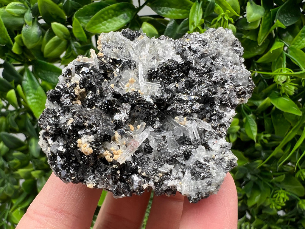 Galena Cluster with Siderite and Quartz, 9th September Mine, Bulgaria