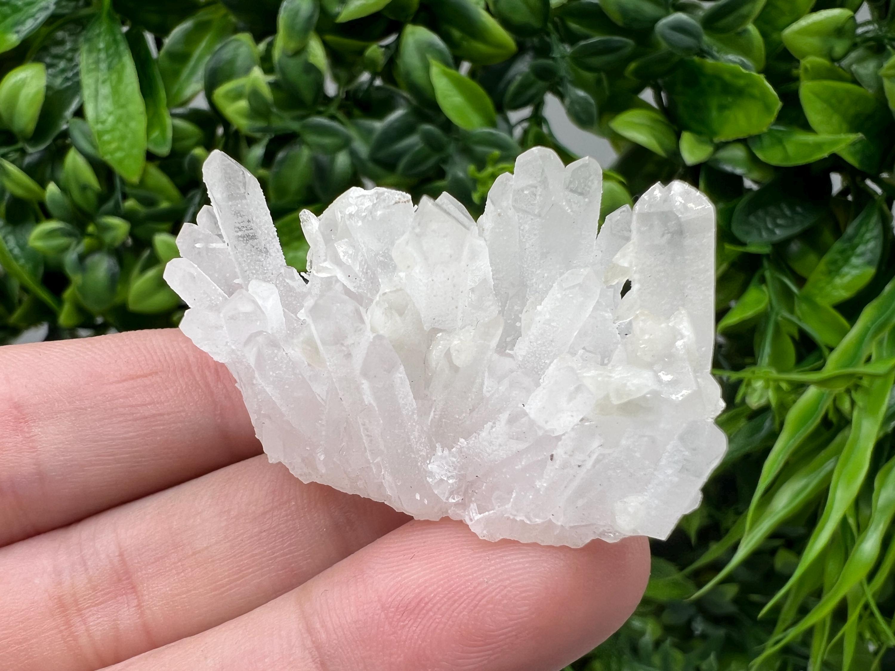Wonderful Transparent Quartz on Chlorite Matrix,From Borieva mine,Madan,Bulgaria,Quartz,Quartz crystal,mineral specimen,collection quartz