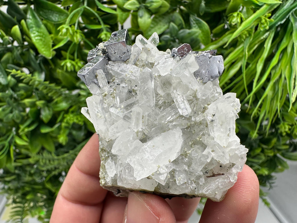 Aesthetic Natural shiny Galena whit Siderite and Quartz from 9 th September mine,Bulgaria,collection specimen,rare galena,Galena cluster