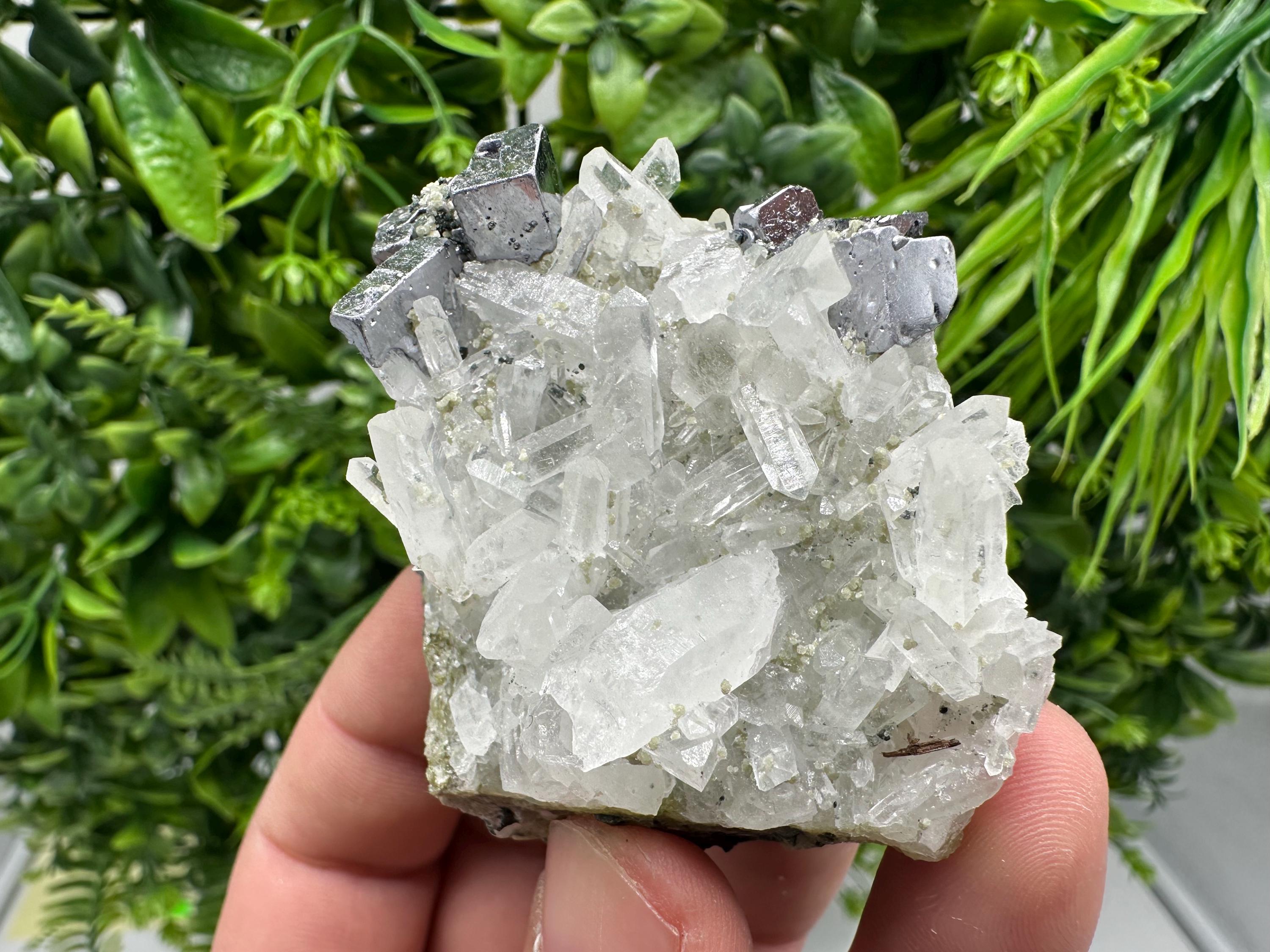 Aesthetic Natural shiny Galena whit Siderite and Quartz from 9 th September mine,Bulgaria,collection specimen,rare galena,Galena cluster