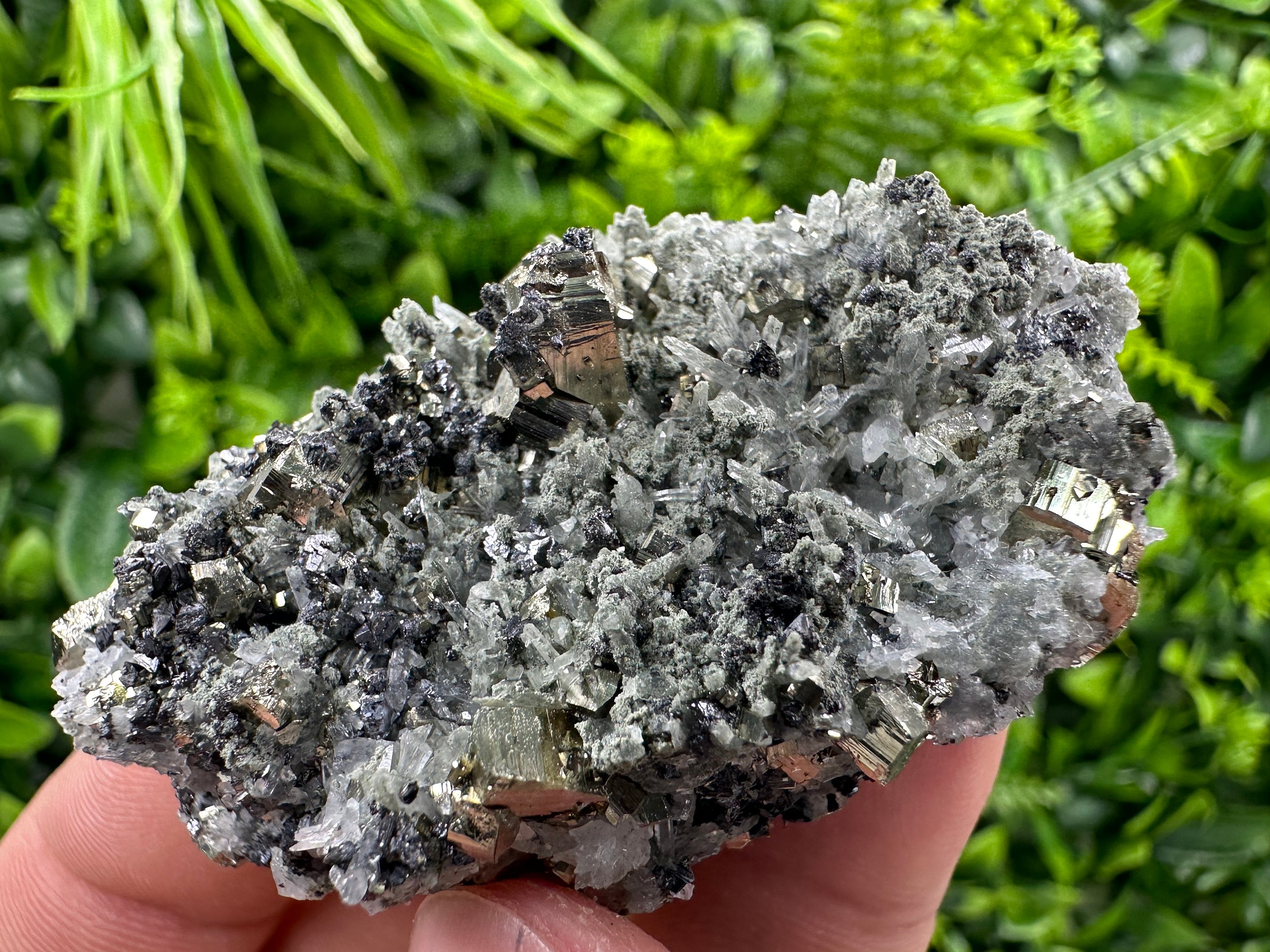 Pyrite on Quartz Needles, Borieva Mine Bulgaria, Natural Mineral Specimen