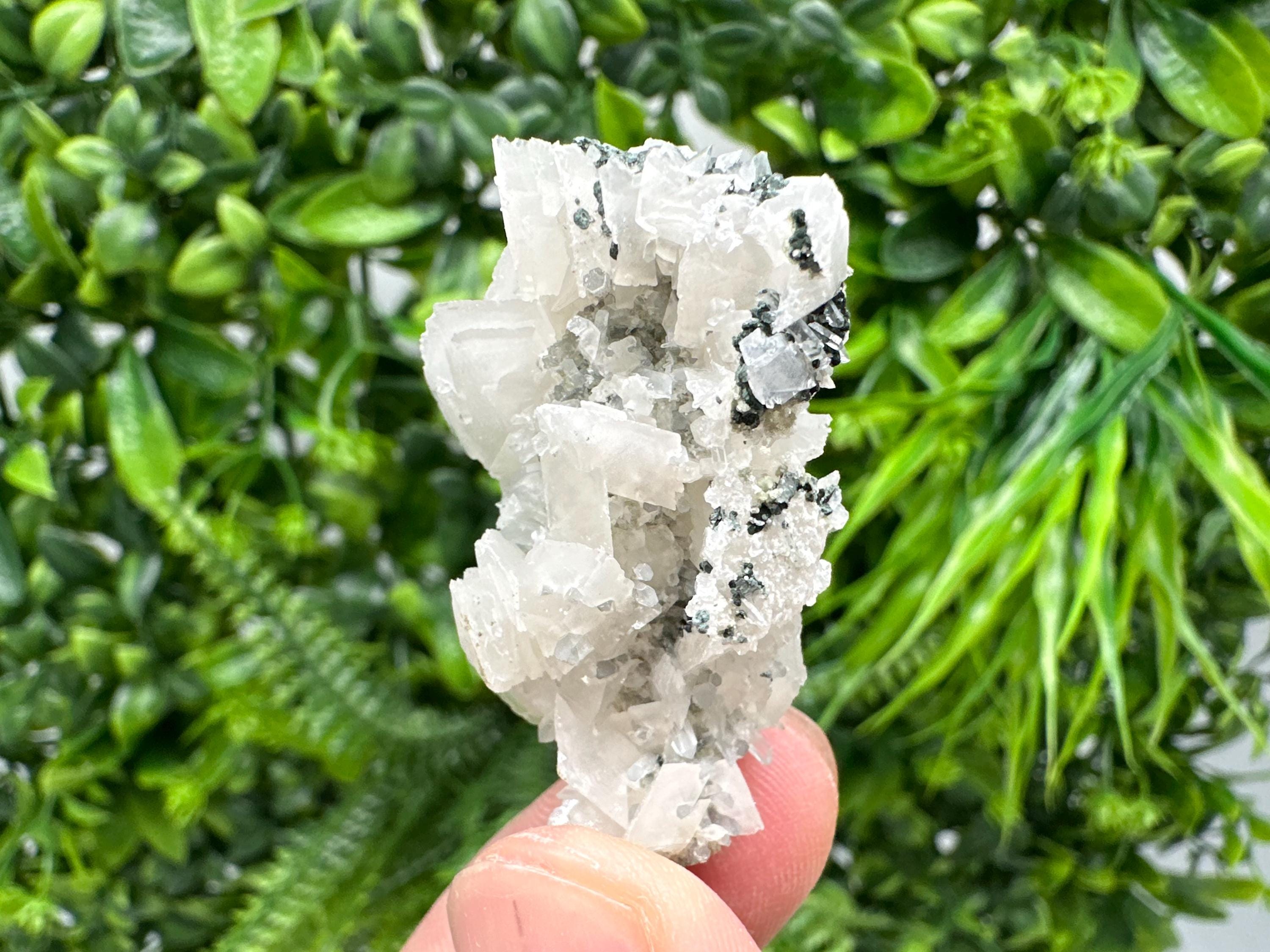 Quartz Calcite on Chlorite Matrix, Borieva Mine Mineral Specimen