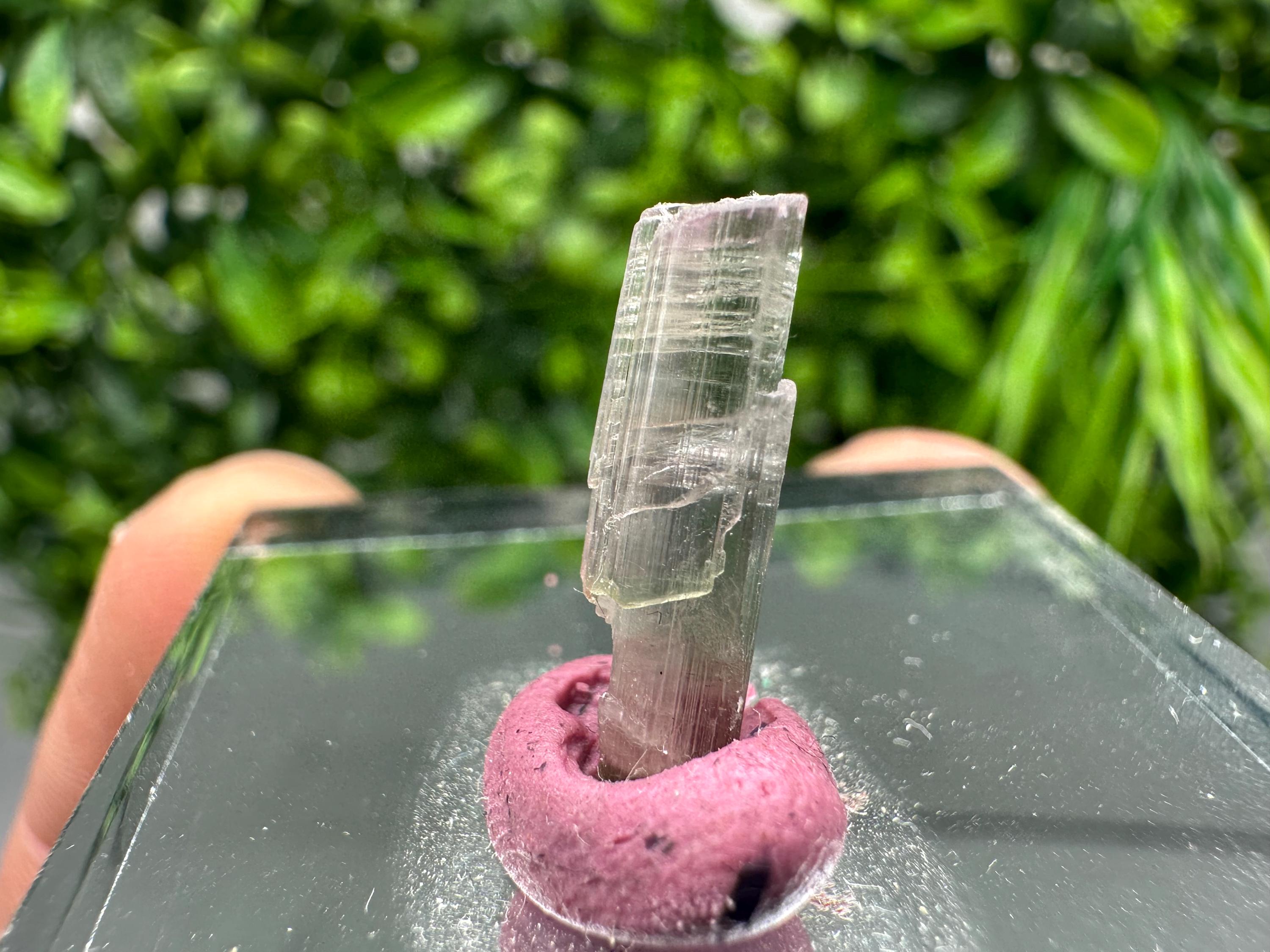 Rare Pink & Green Rubellite Tourmaline Pencil: 17mm Raw Crystal