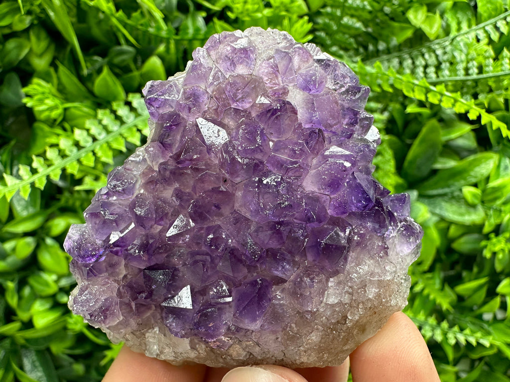 Uruguay Amethyst Cluster: Purple Quartz Crystal, Home Decor (6/7/4cm)