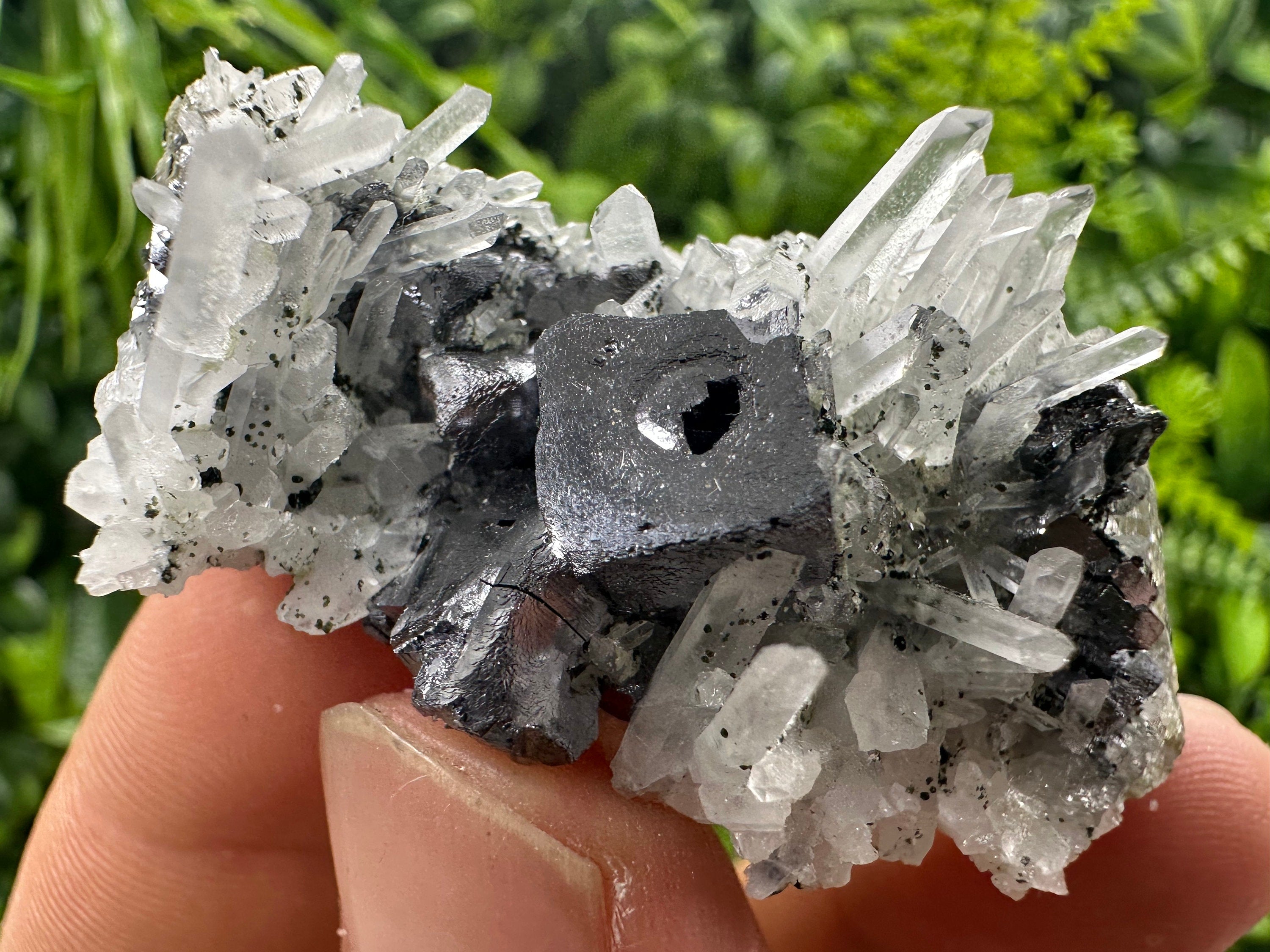 Galena on Quartz Mineral Specimen, Bulgaria Origin