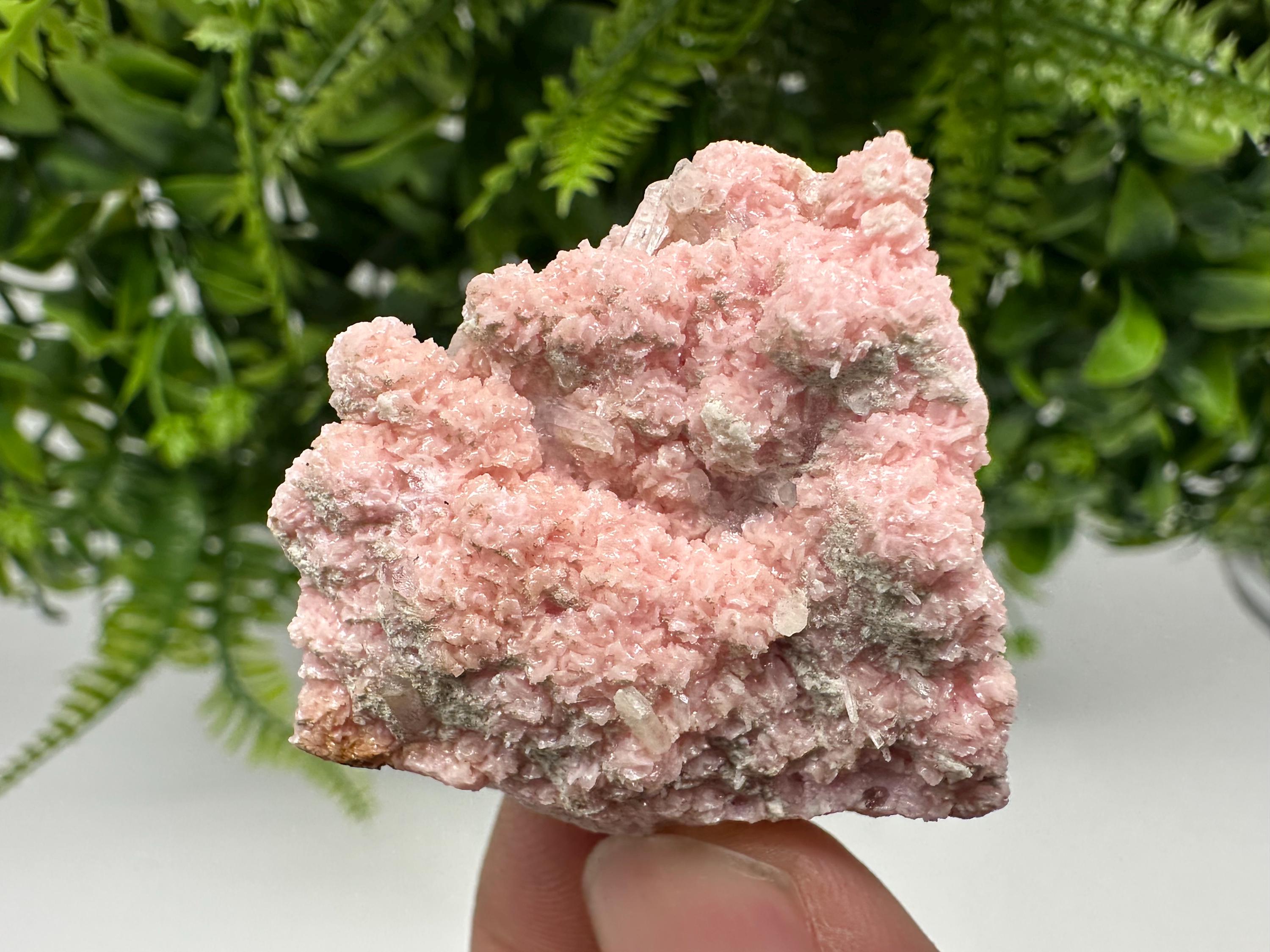 Rhodochrosite on Quartz, Starnica Mine, Bulgaria