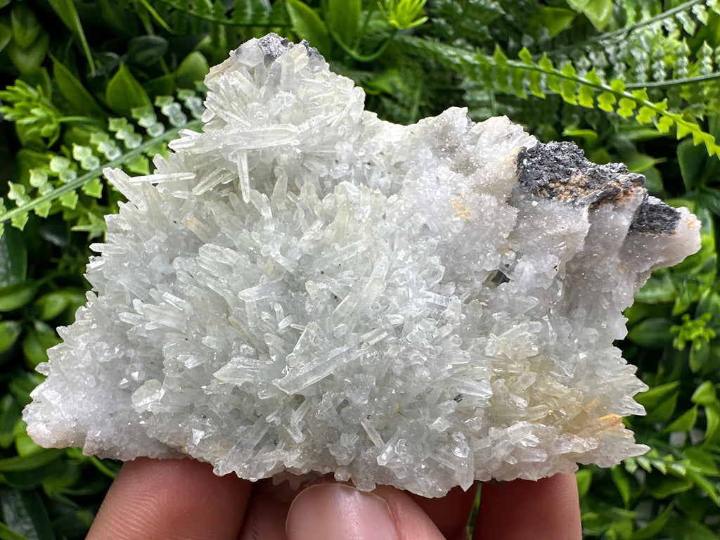 Chlorite Quartz Crystal with Hematite: Borieva Mine, Bulgaria