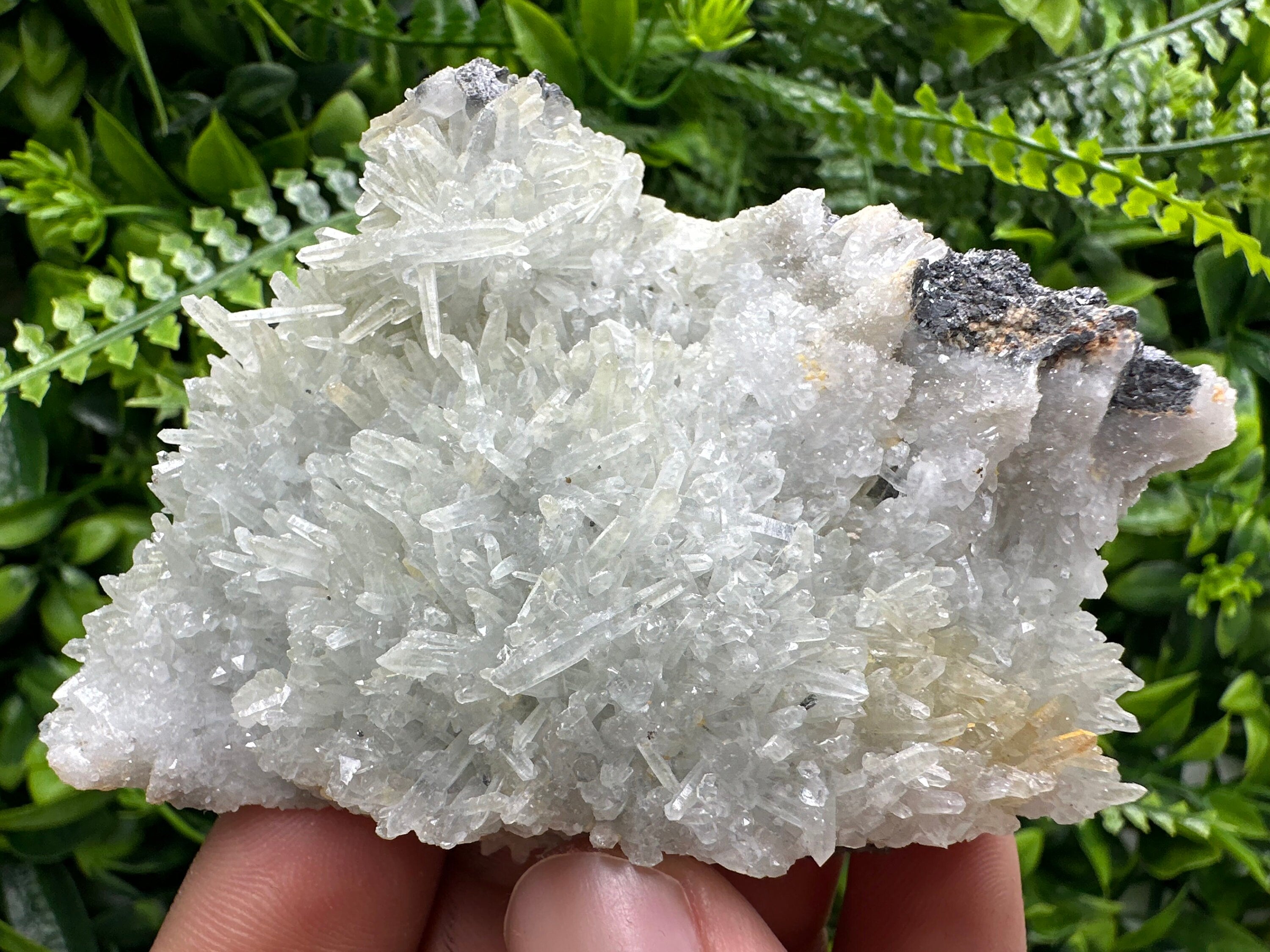 Chlorite Quartz Crystal with Hematite: Borieva Mine, Bulgaria