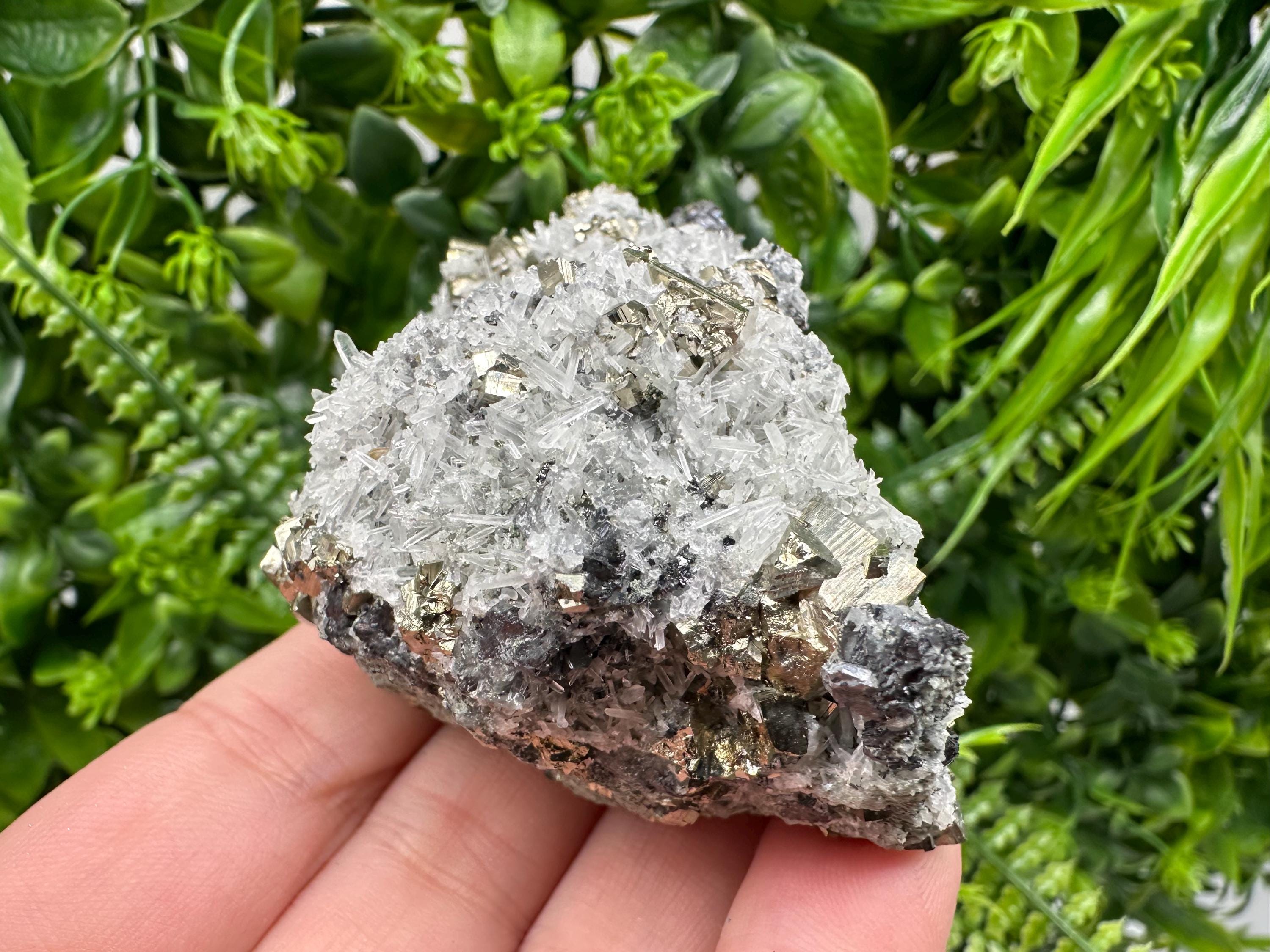 Pyrite on Green Quartz Mineral Specimen, Borieva Bulgaria