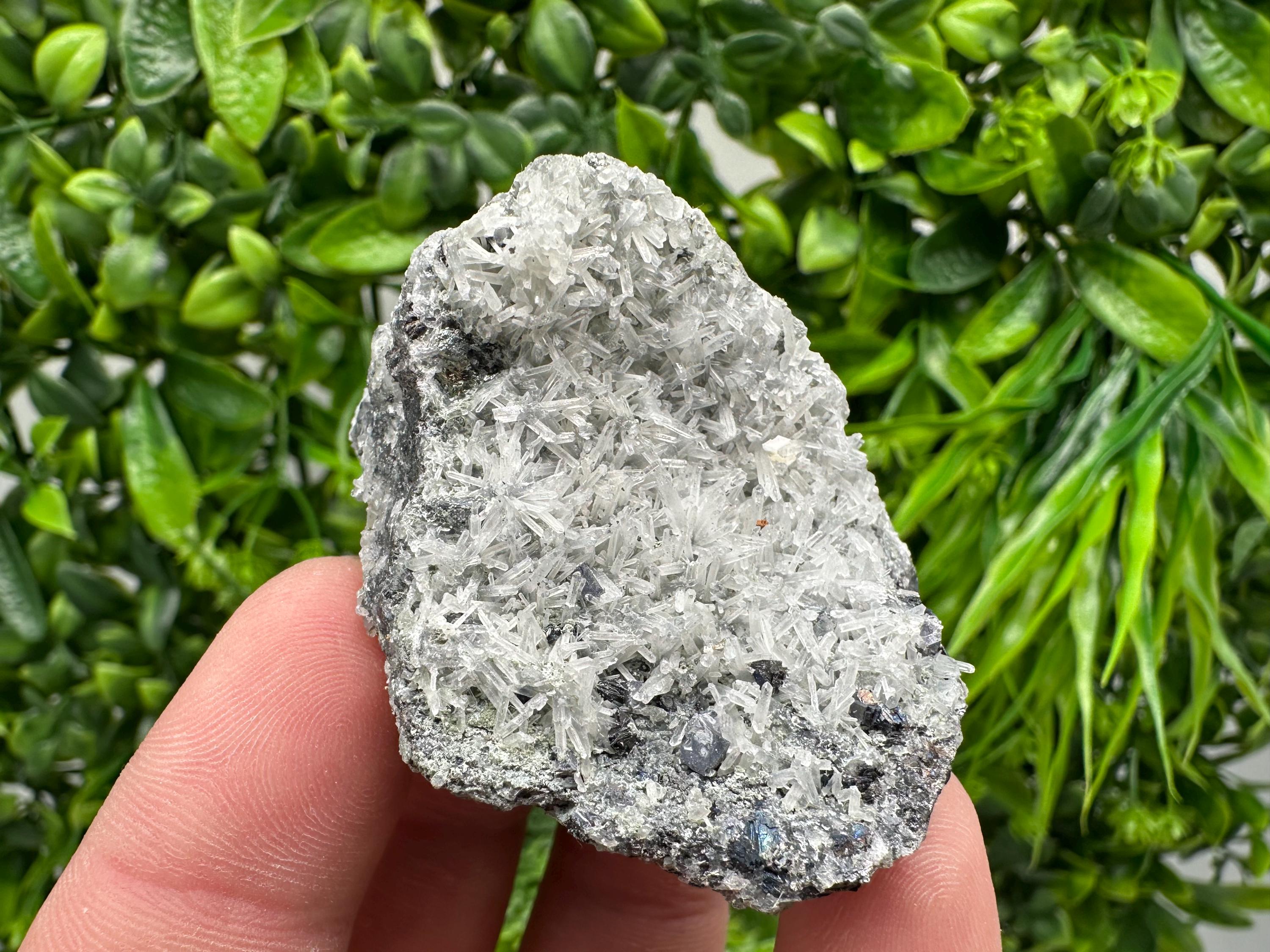 Pyrite on Green Quartz Specimen: Borieva Mine Mineral Decor
