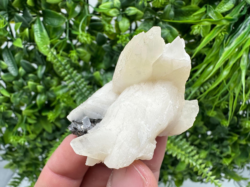 Calcite on Aragonite: Djurcovo Mine, Bulgaria Healing Crystal