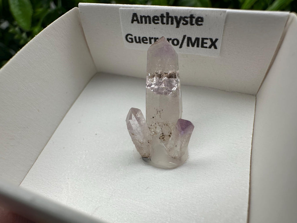 Mexican Amethyst Mineral Specimen: Crystal Collector's Piece (20mm)