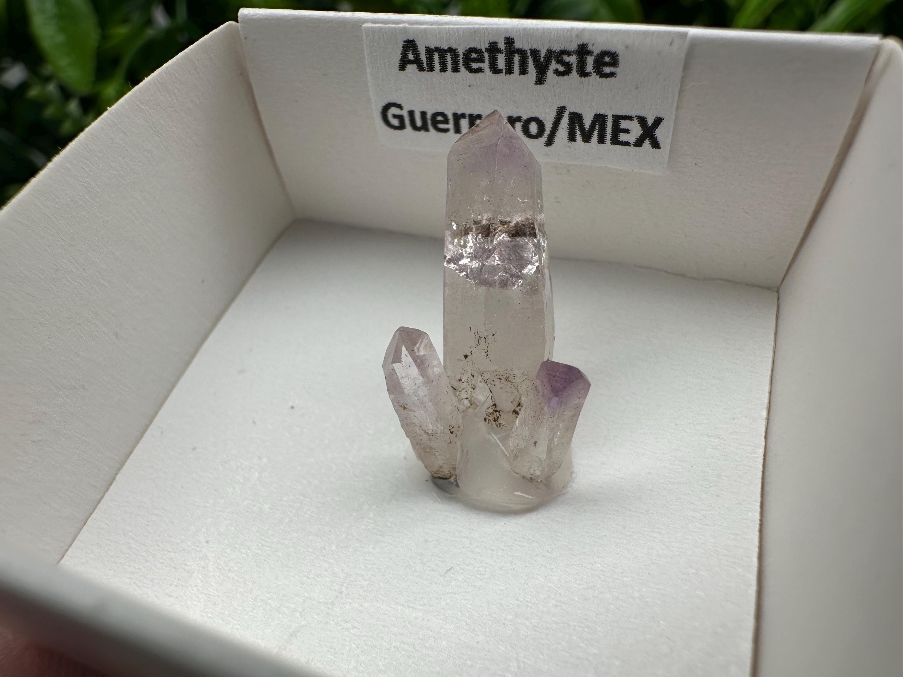 Mexican Amethyst Mineral Specimen: Crystal Collector's Piece (20mm)