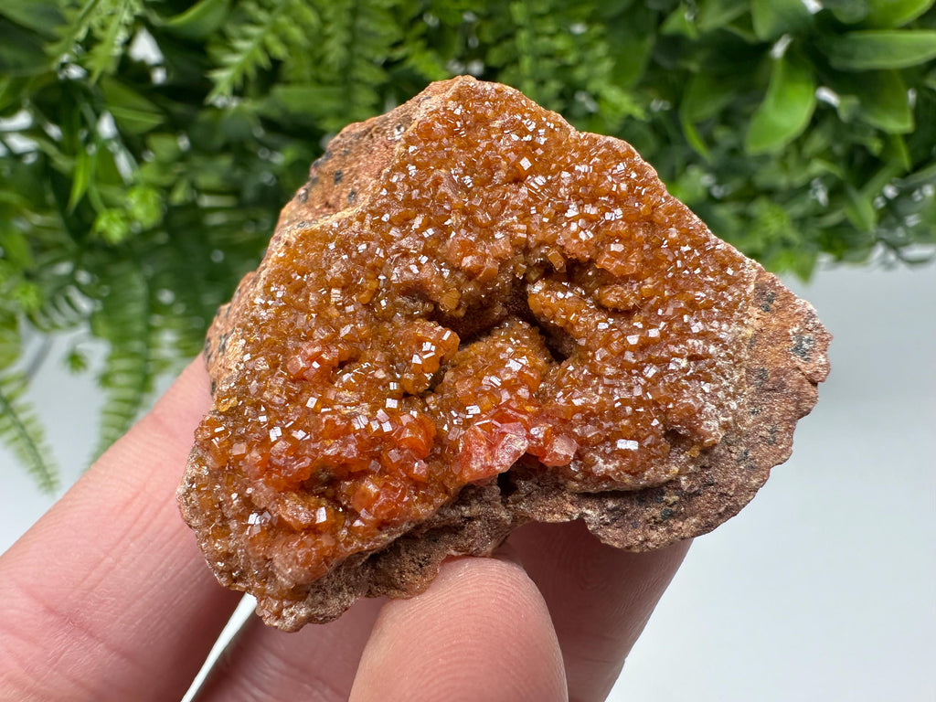 Red Vanadinite on Matrix from Marocco,crystal minerals Speciment cluster Vanadinite crystal Vanadinite Geology Vanadinite cluster minerals