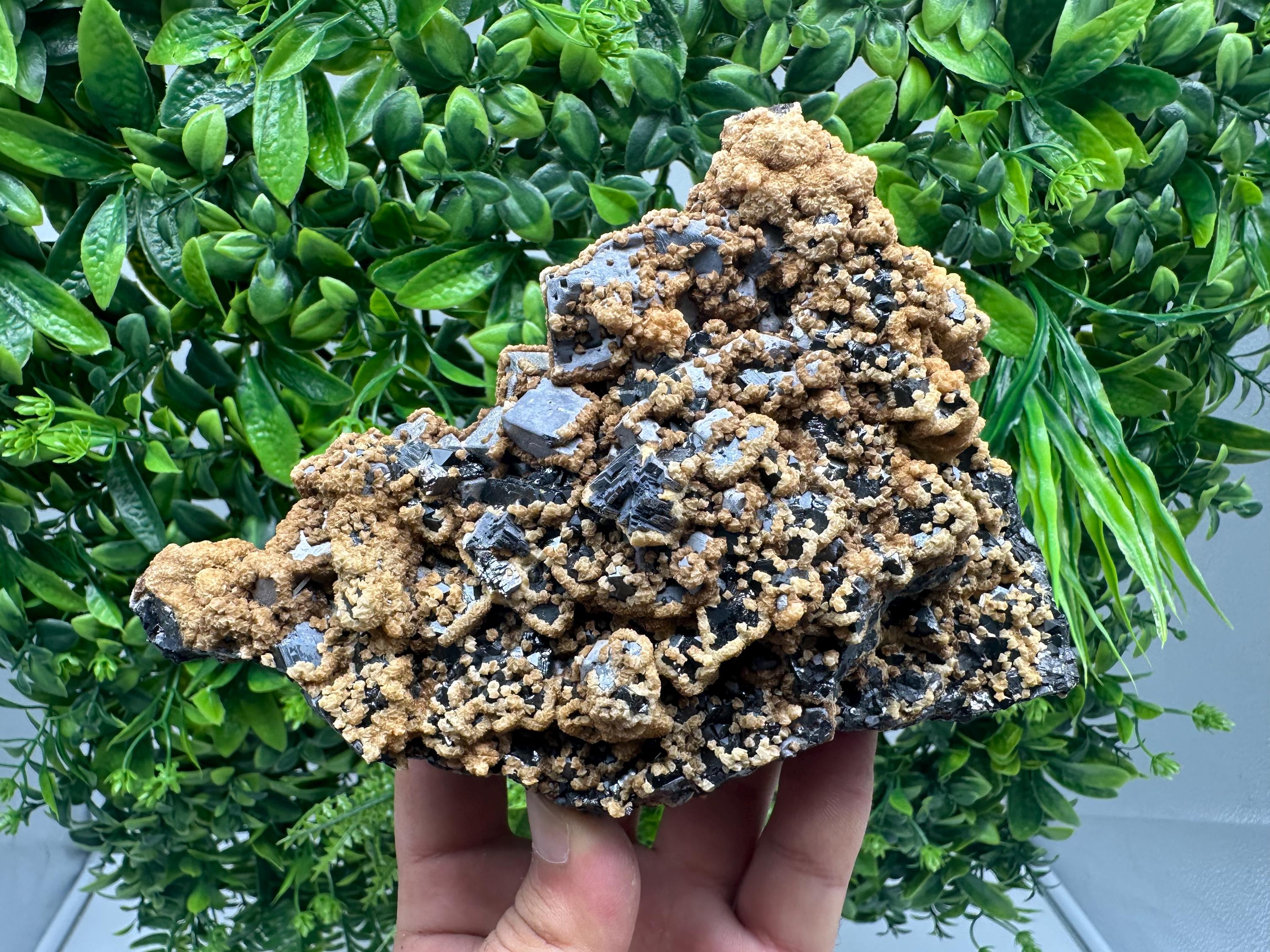 Skeletal Galena with Dolomite: Krushev Dol Mine, Bulgaria