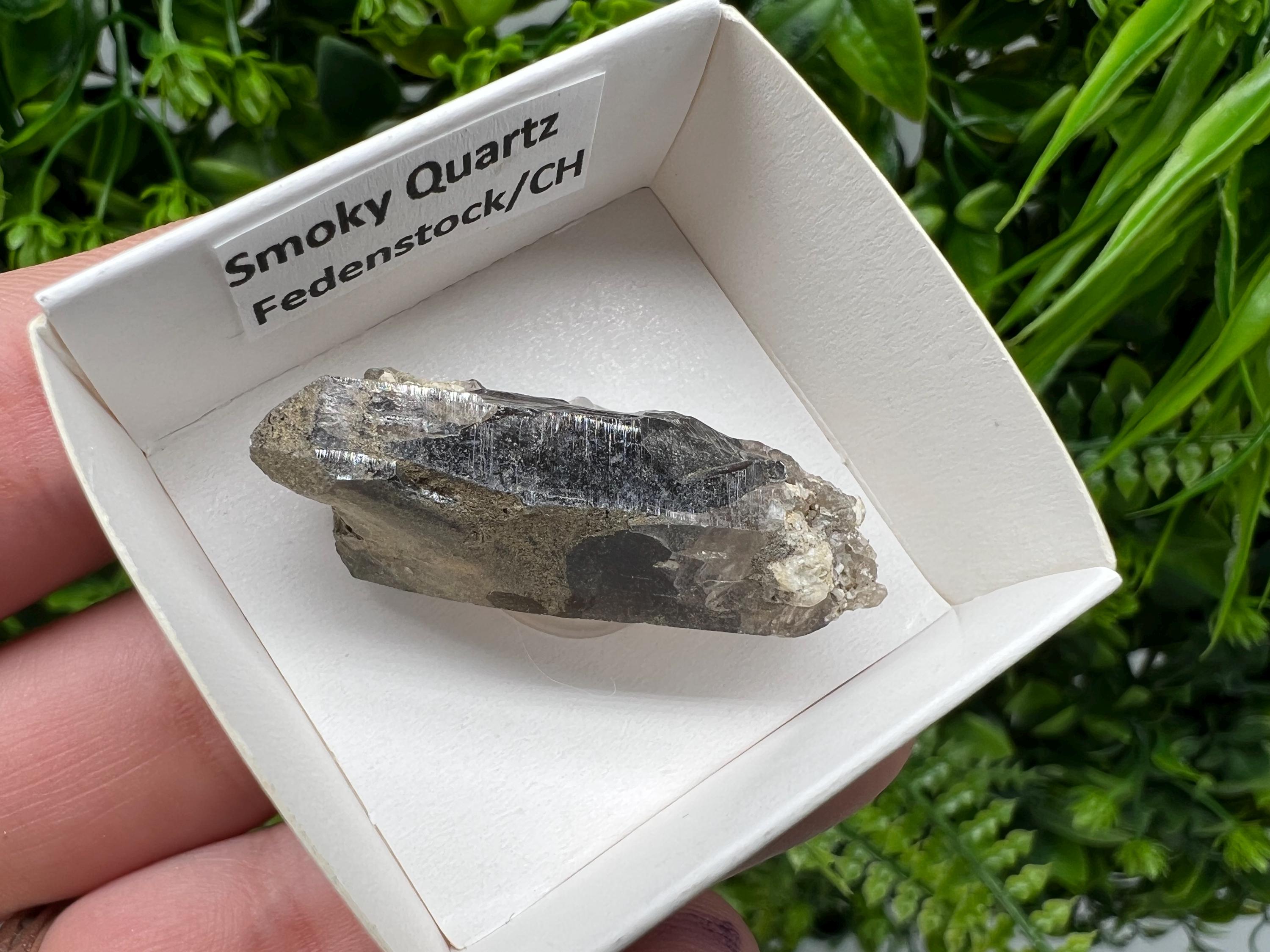 Rare Fedenstock Smoky Quartz Point, Swiss Mineral Specimen (40mm)
