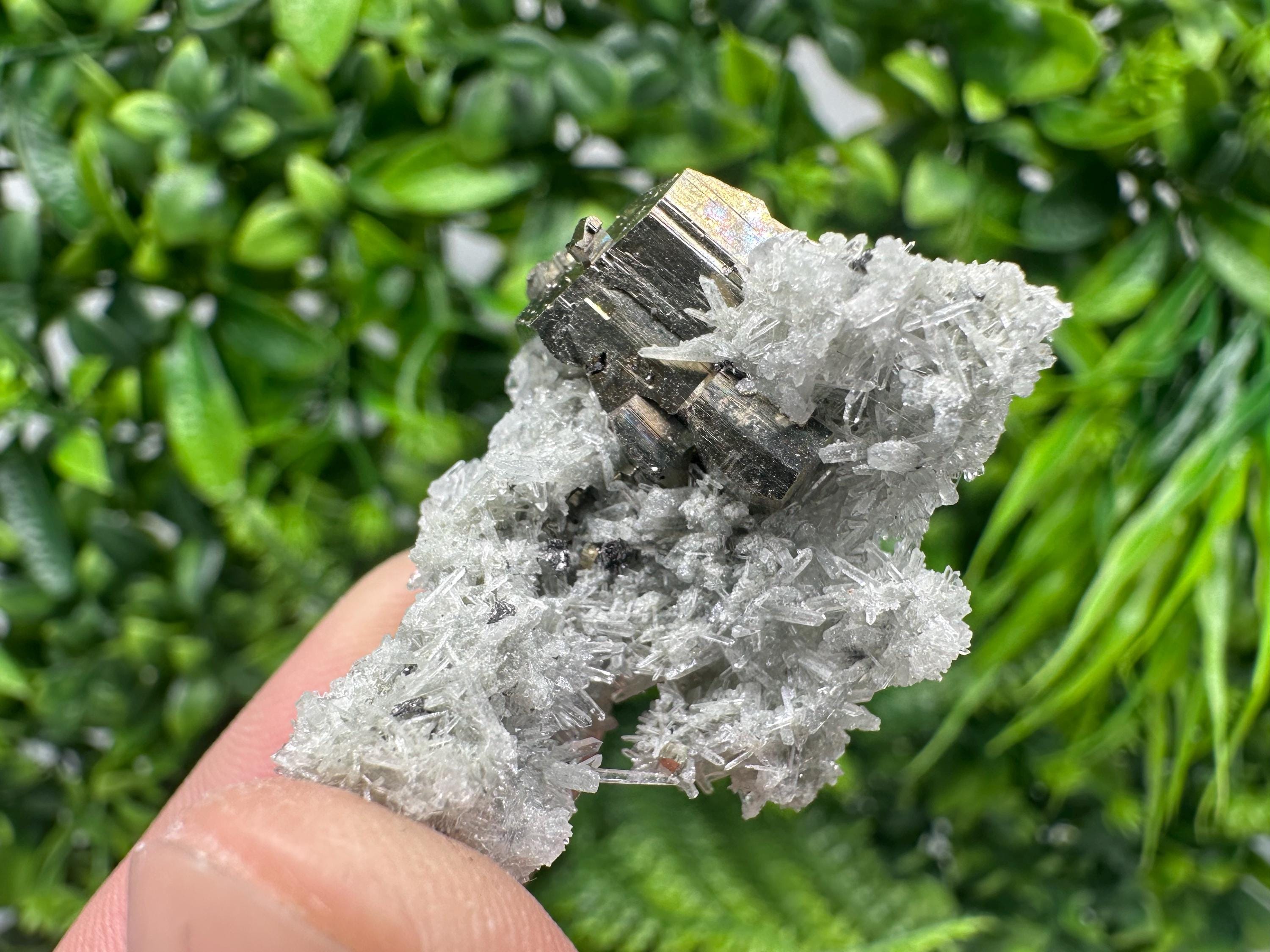 Pyrite on Green Quartz Mineral Specimen from Borieva Mine, Bulgaria