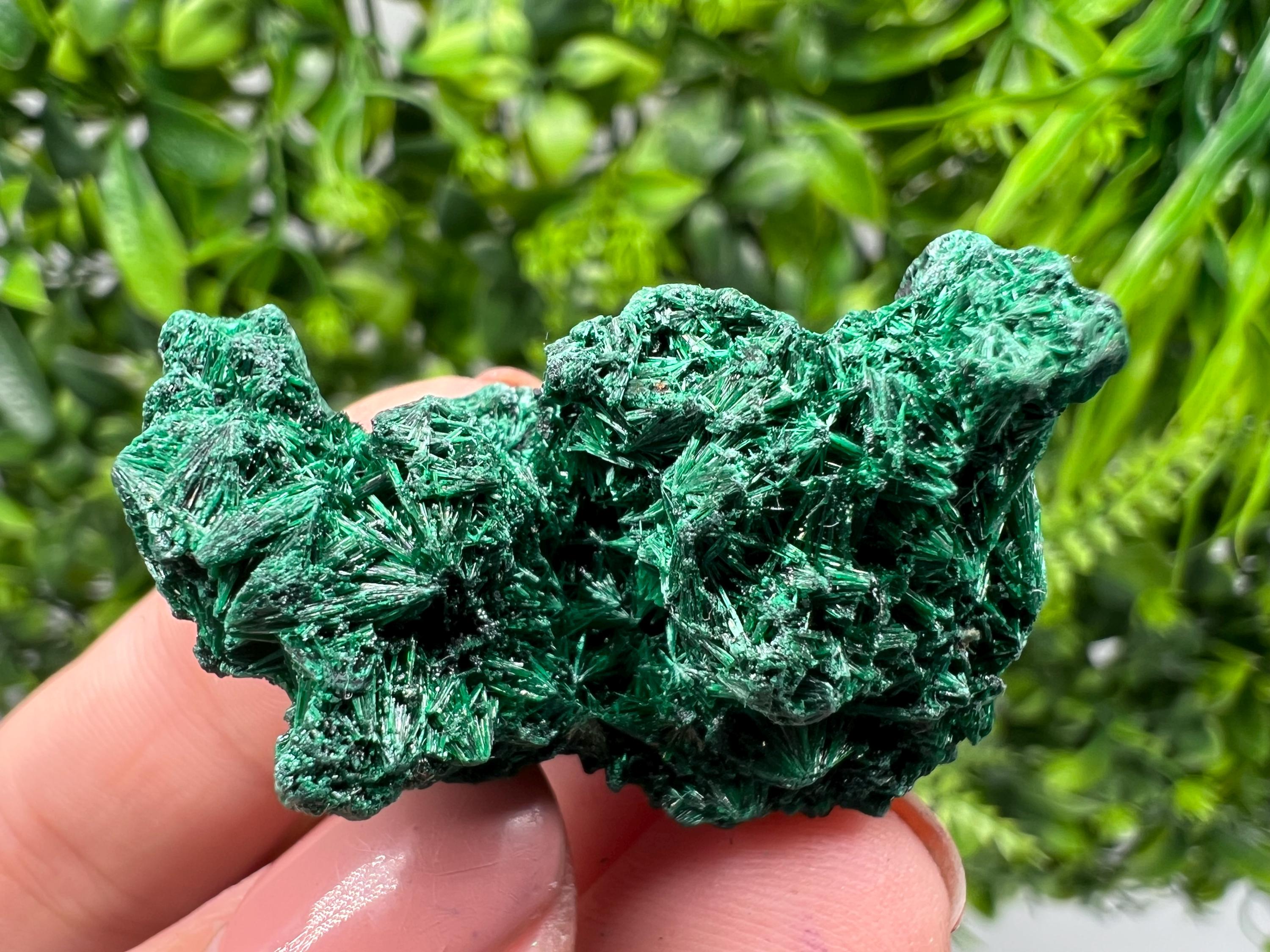 Malachite Crystal from Congo,Minerals,Crystals from Congo,Green Malachite, Malachite,Natural Malachite,Malachite Stone,Chakra, Specimens
