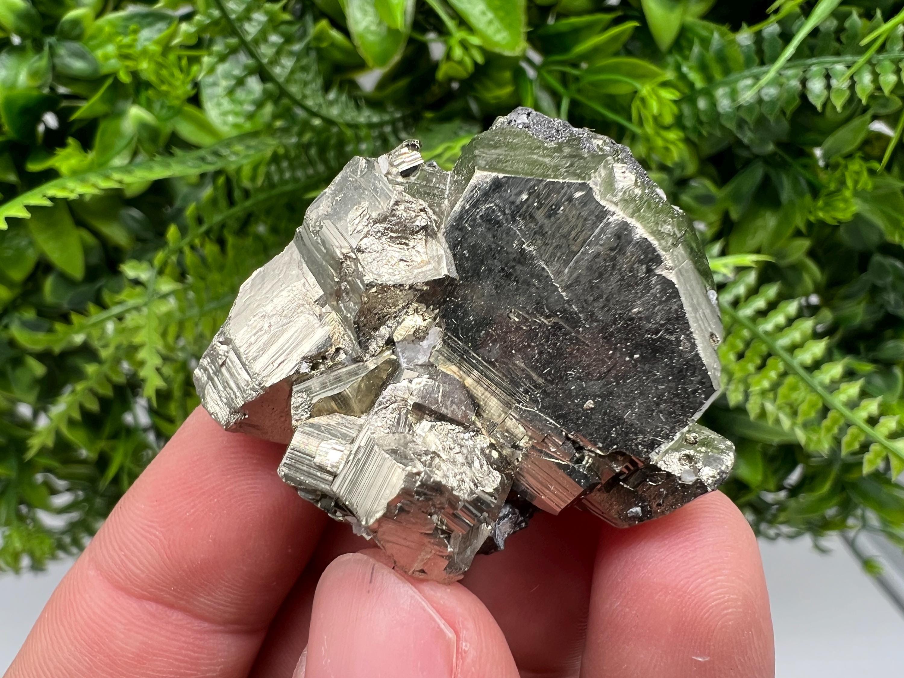 Pyrite on Sphalerite, Bulgaria Mineral Specimen