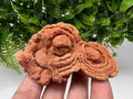 Moroccan Stromatolite Fossil Specimen: Raw Algae for Grounding