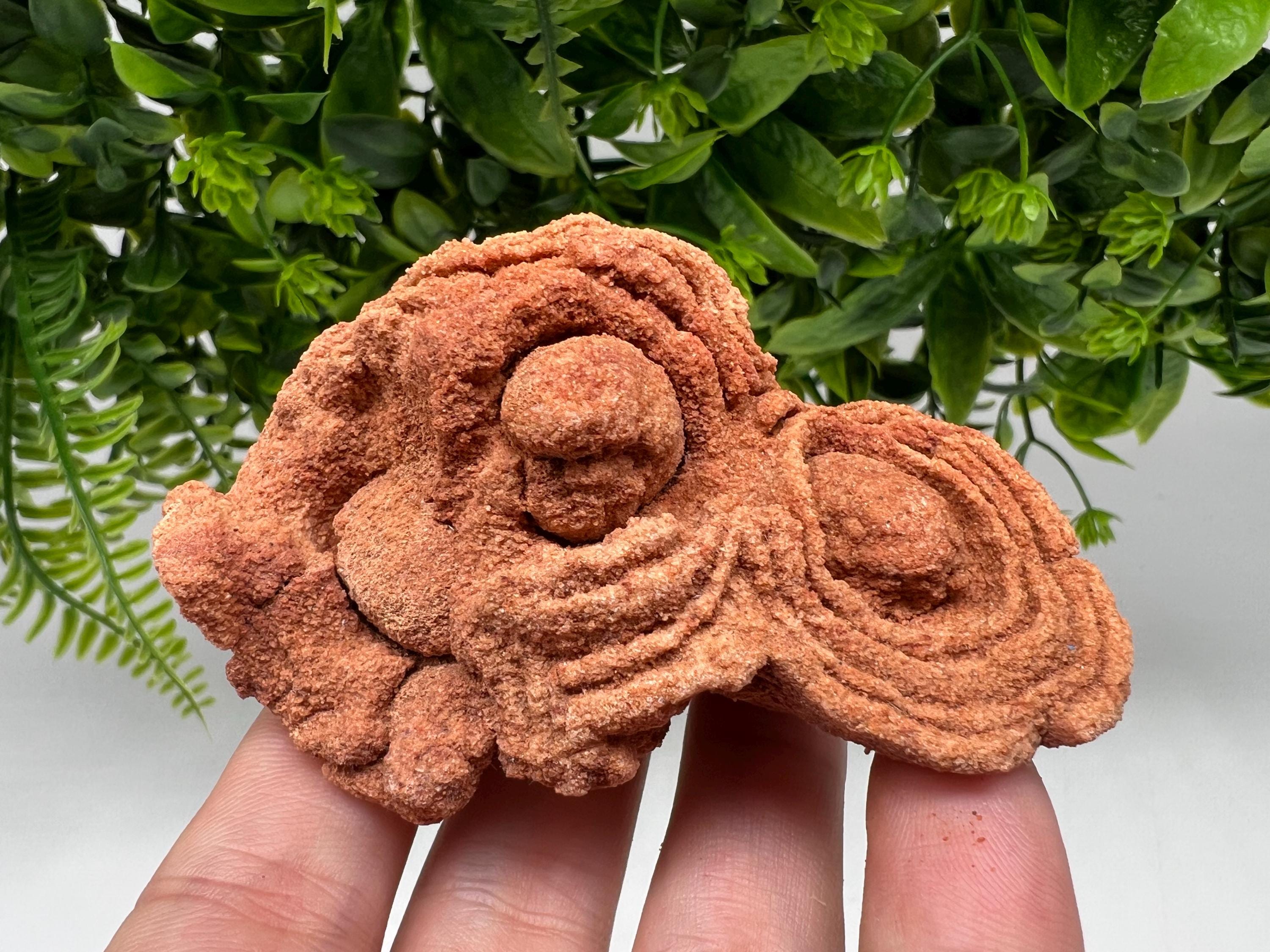 Moroccan Stromatolite Fossil Specimen: Raw Algae for Grounding