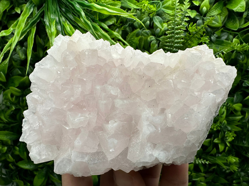 UV Reactive Mangano Calcite, Androvo Mine Bulgaria, Mineral Specimen