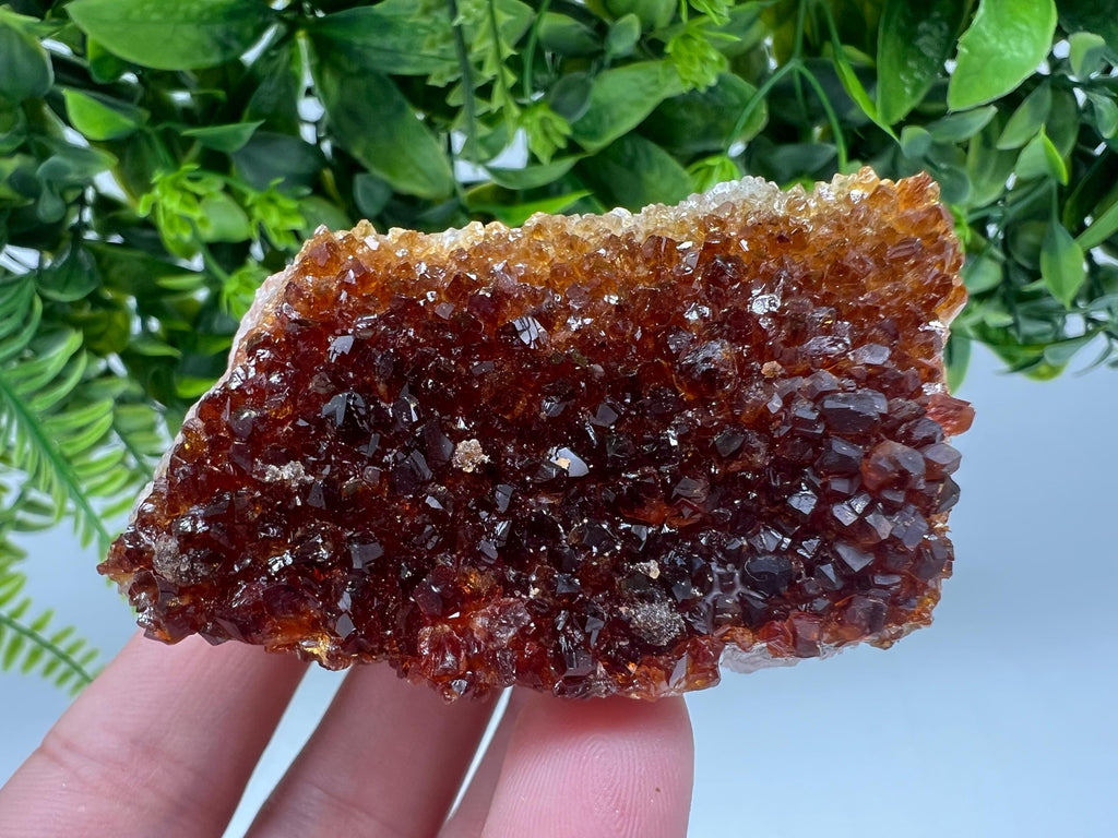 Citrine Crystal Cluster with Hematite Inclusions, Brazil