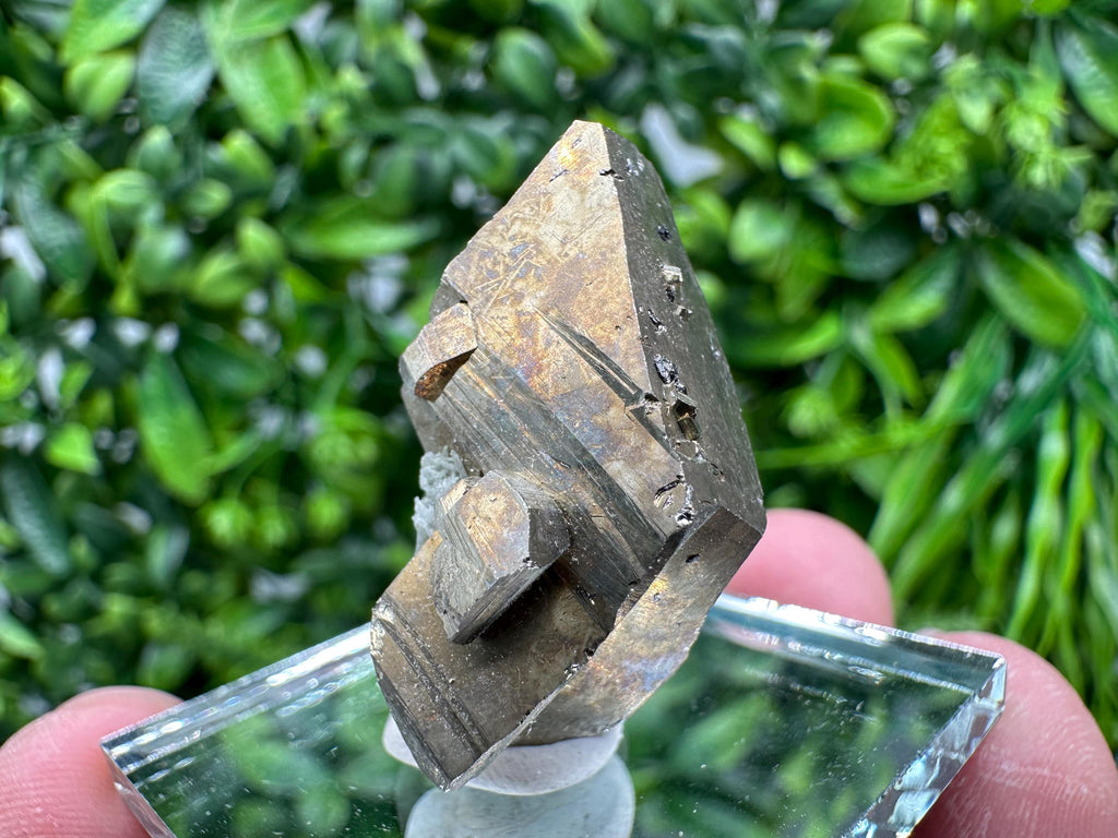 Mini Rainbow Pyrite Cluster: Borieva Mine, Bulgaria