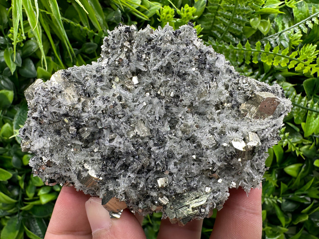 Pyrite on Quartz Needles: Borieva Mine Bulgaria Crystal Decor