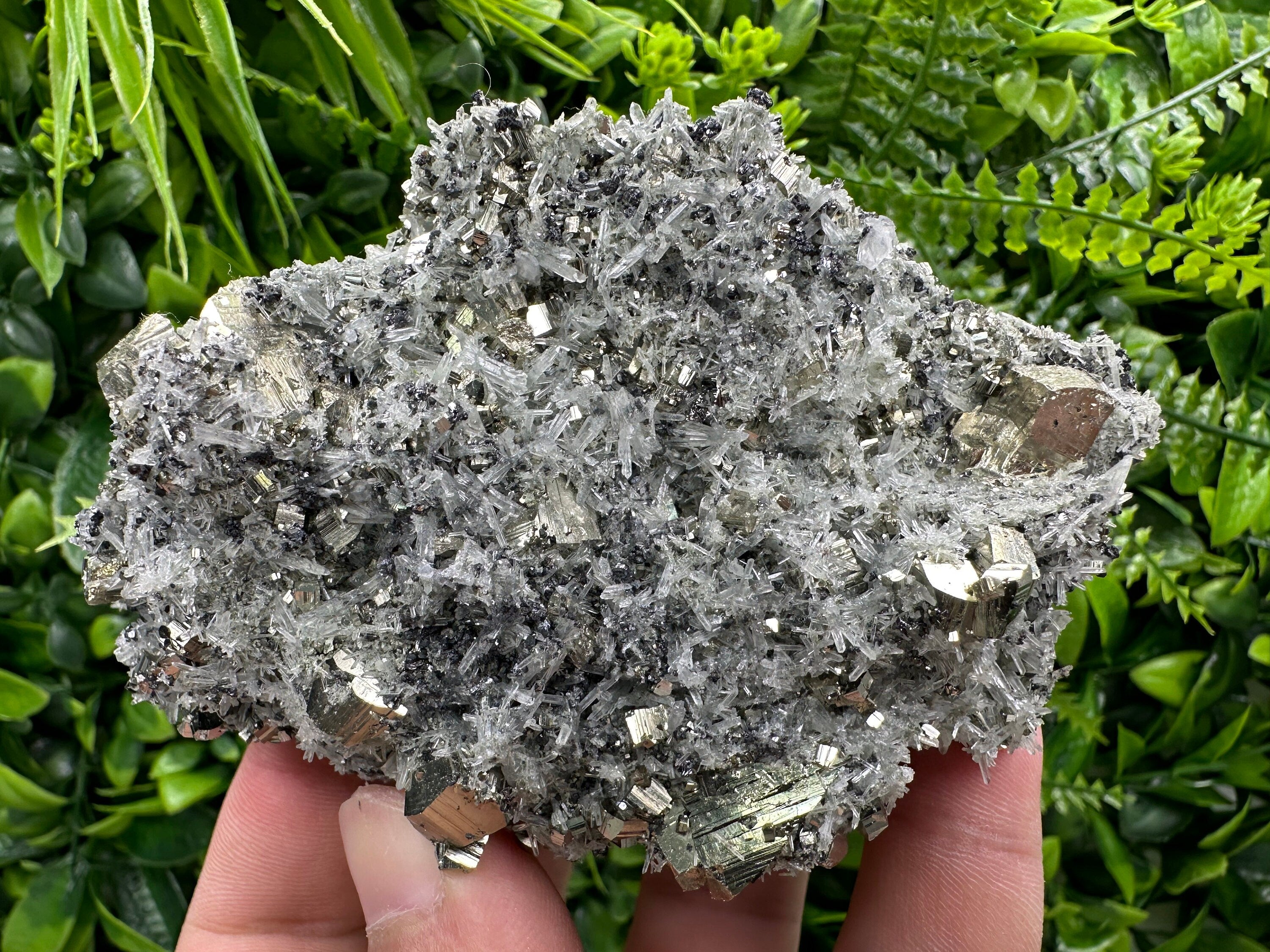 Pyrite on Quartz Needles: Borieva Mine Bulgaria Crystal Decor