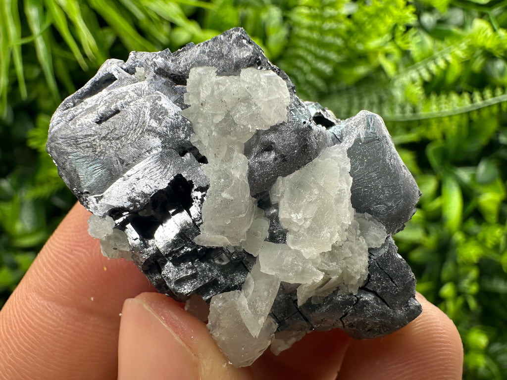 Galena Cluster: Borieva Mine, Madan, Bulgaria